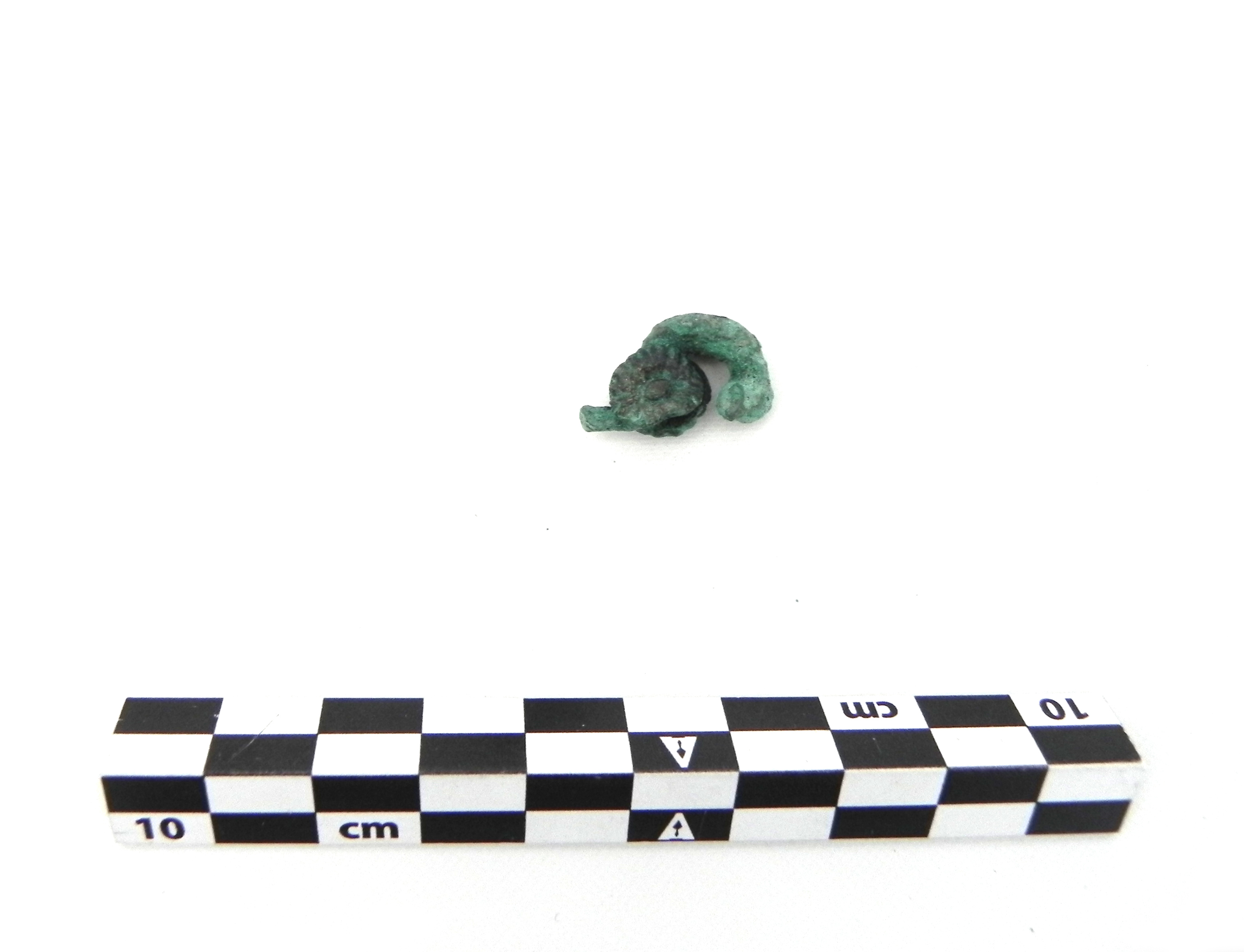 fibula - Cultura di Golasecca (PERIODIZZAZIONI/ PROTOSTORIA/ Età del Ferro/ Prima età del Ferro)