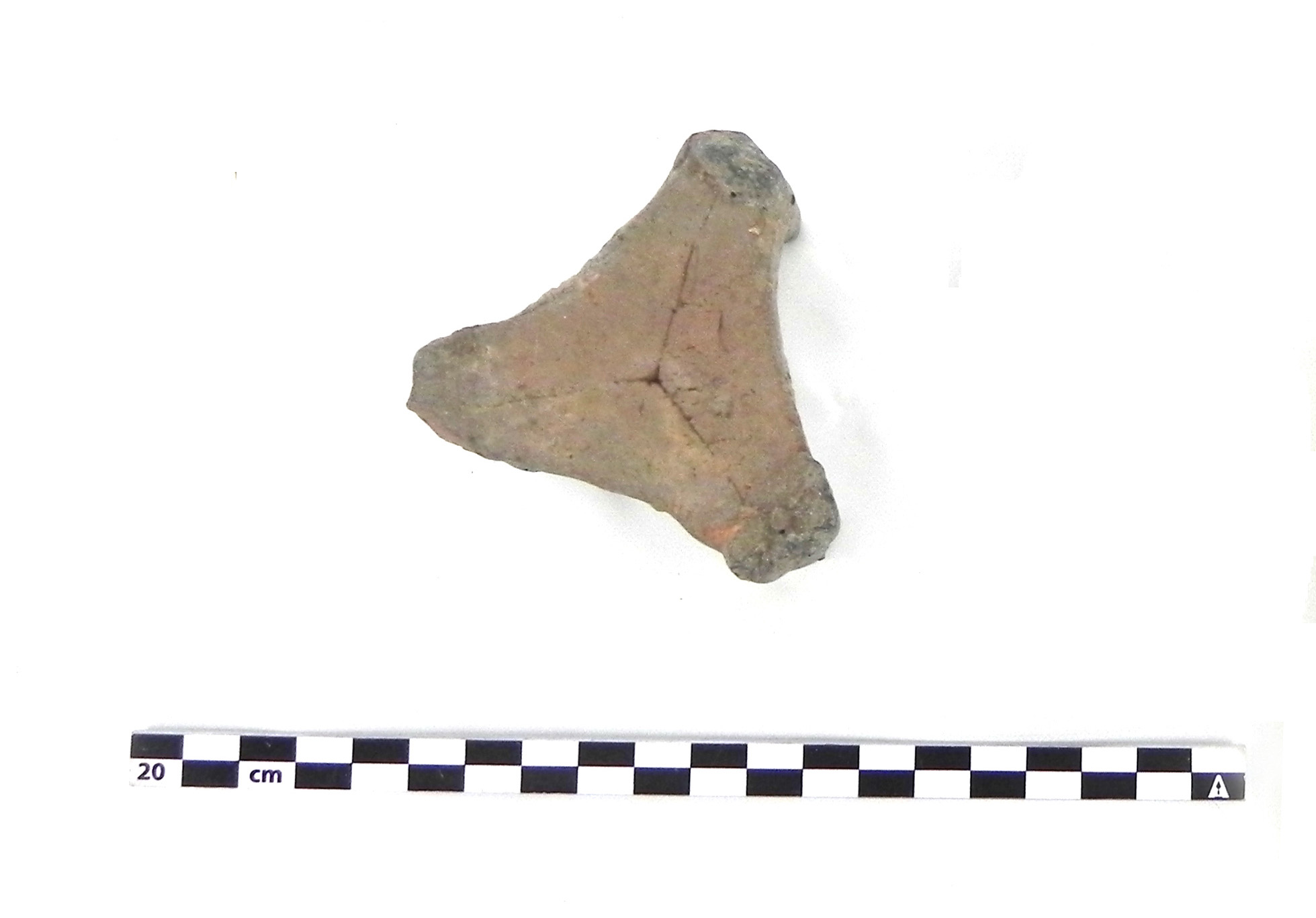 supporto (PERIODIZZAZIONI/ STORIA/ Età moderna)