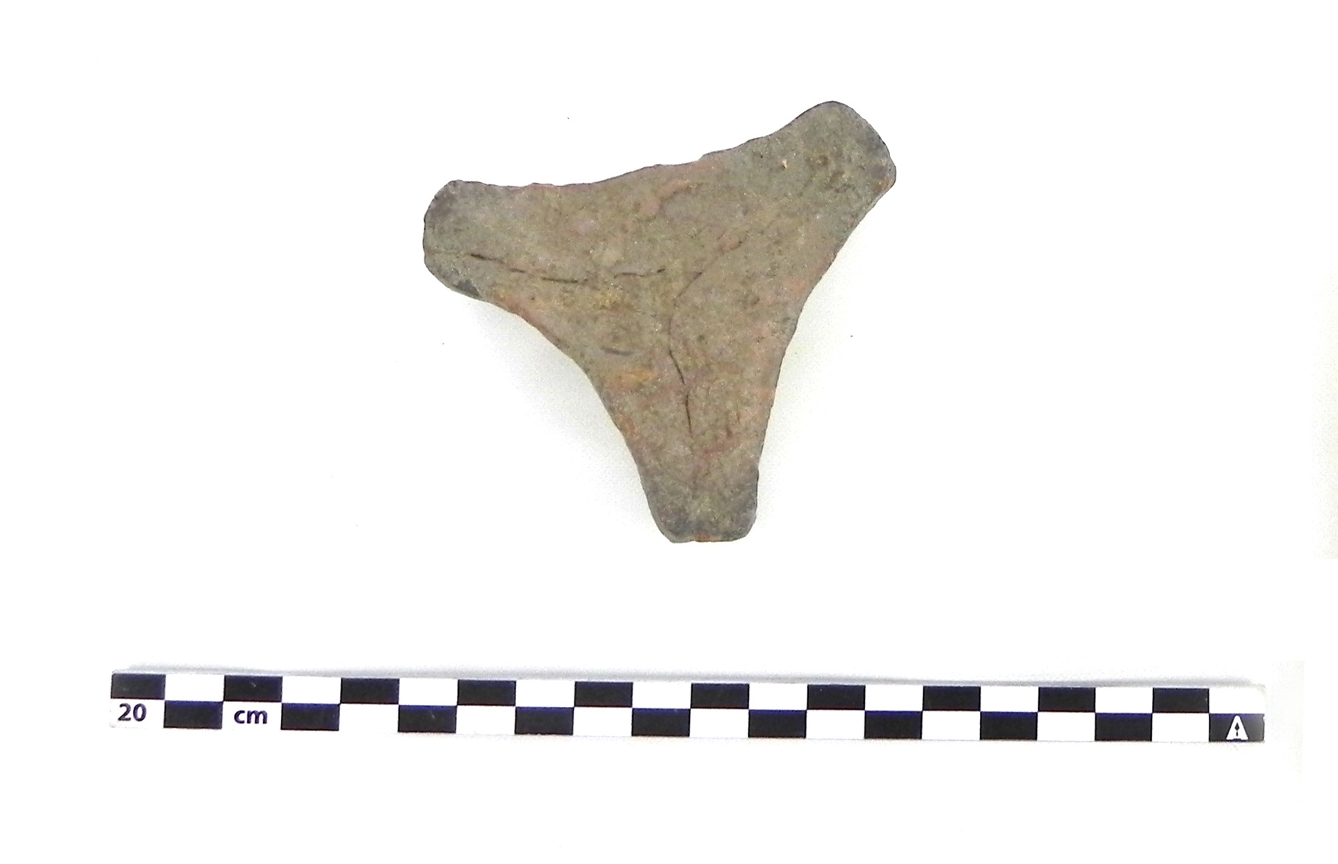 supporto (PERIODIZZAZIONI/ STORIA/ Età moderna)