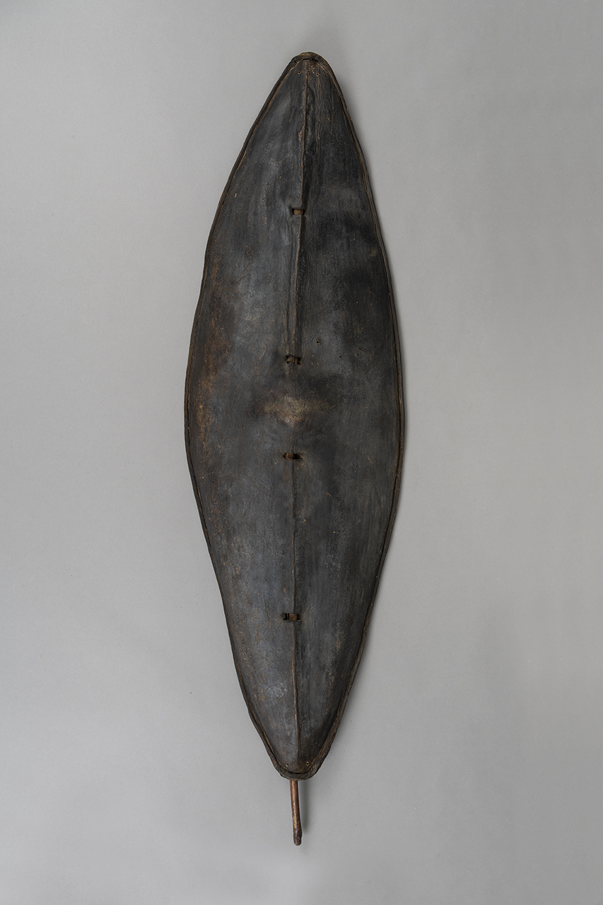 scudo, STRUMENTI E ACCESSORI/ ARMI E ARMATURE - Shilluk, Dinka