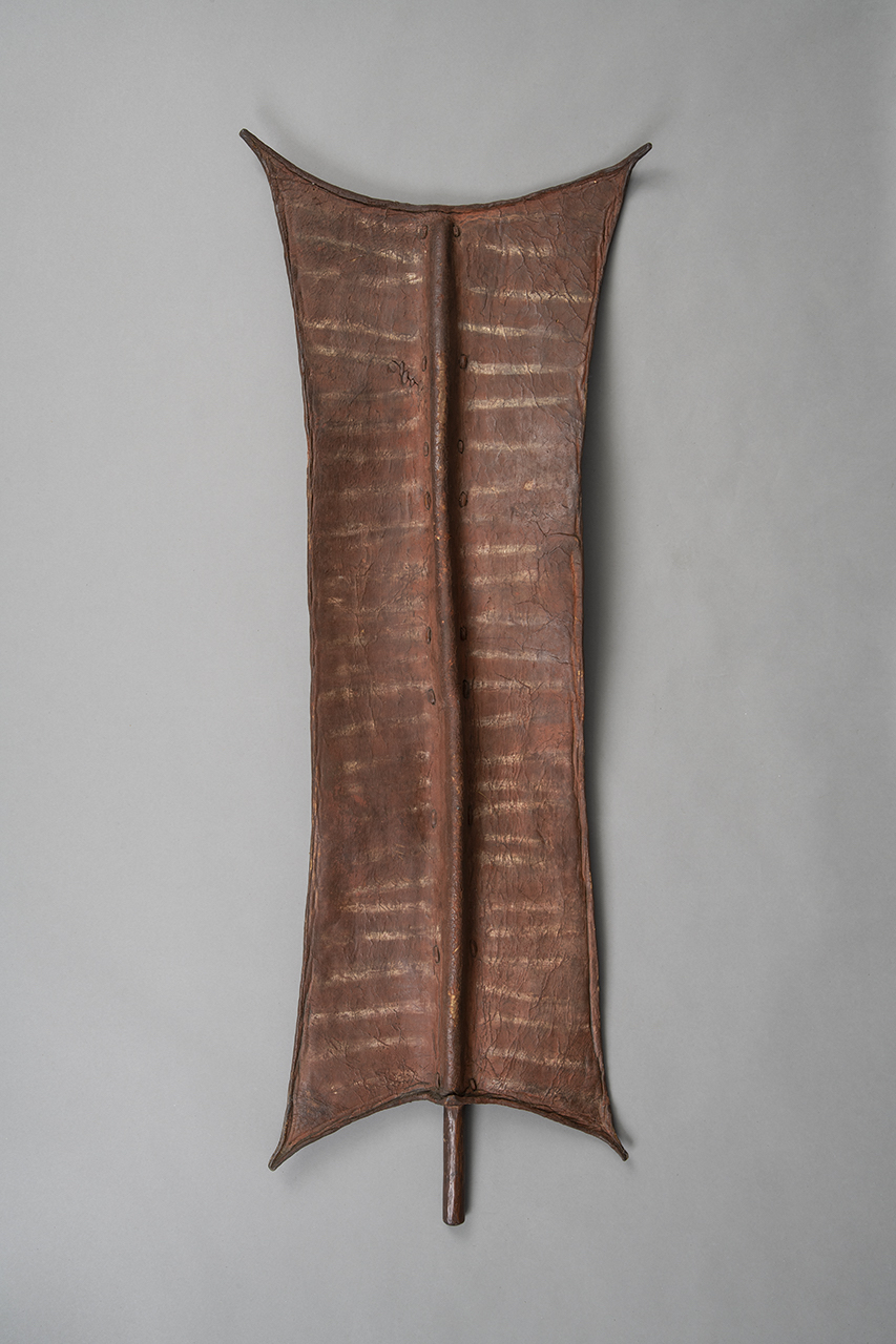 scudo, STRUMENTI E ACCESSORI/ ARMI E ARMATURE - Acholi, Lango