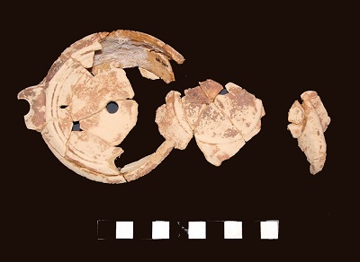 lucerna/ disco, presa, Loeschcke VIII/ Bailey Tipo P (SECOLI/ ARCHI DI SECOLI/ I-II)