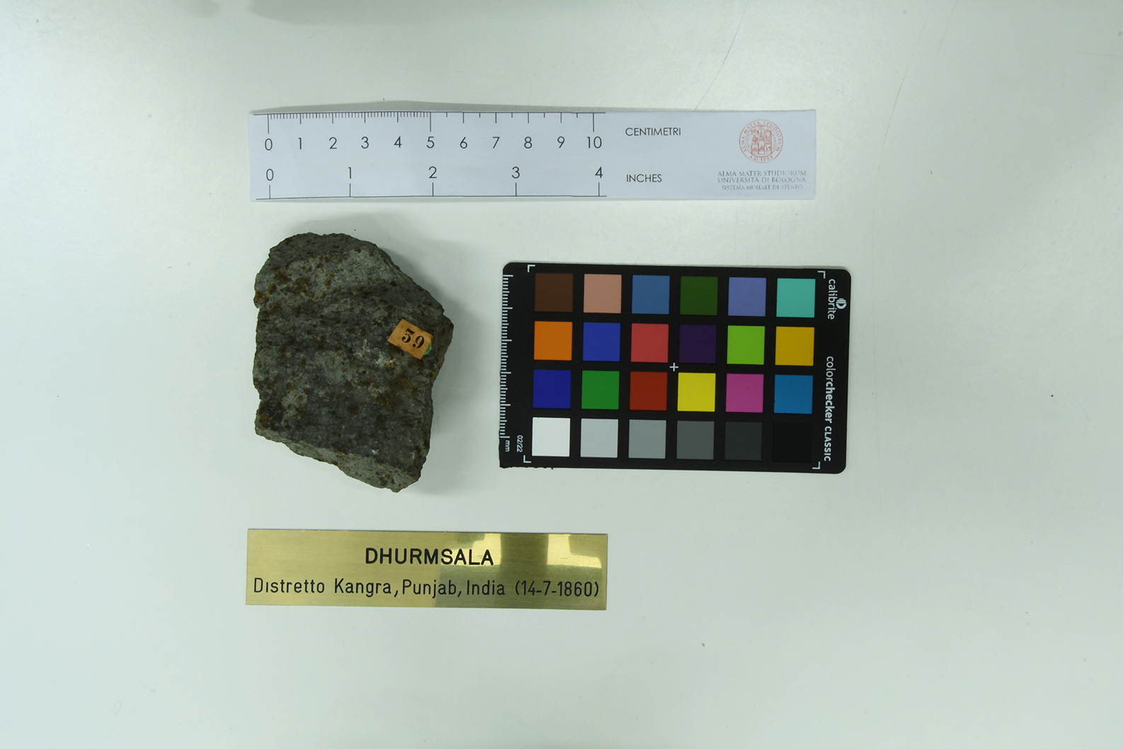 Meteorite (esemplare)