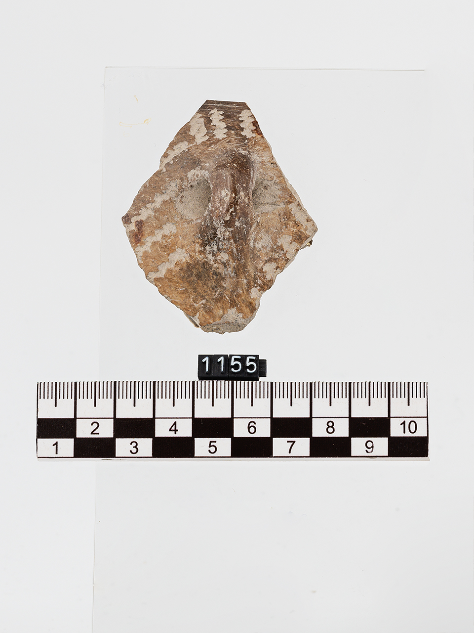 frammento (Neolitico Antico)