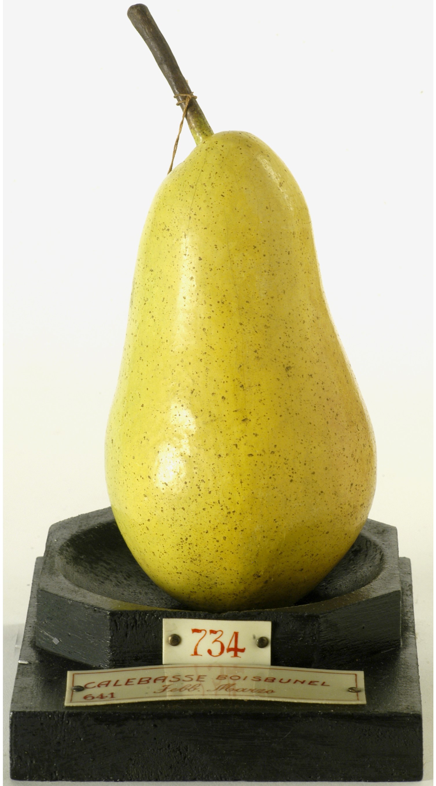calco - calco pomologico, pera di GARNIER VALLETTI FRANCESCO (ULTIMO QUARTO XIX SECOLO)