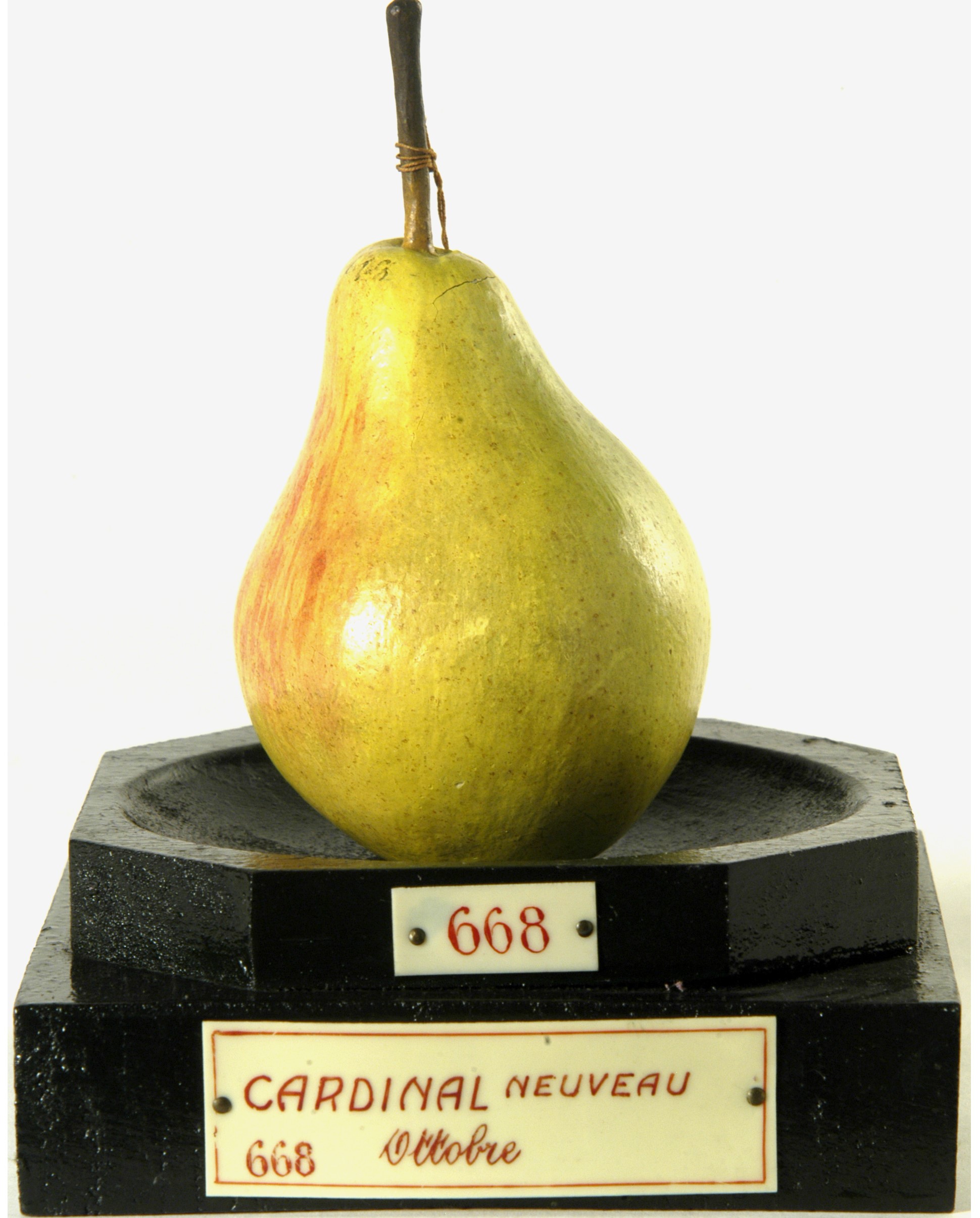 calco - calco pomologico, pera di GARNIER VALLETTI FRANCESCO (ULTIMO QUARTO XIX SECOLO)