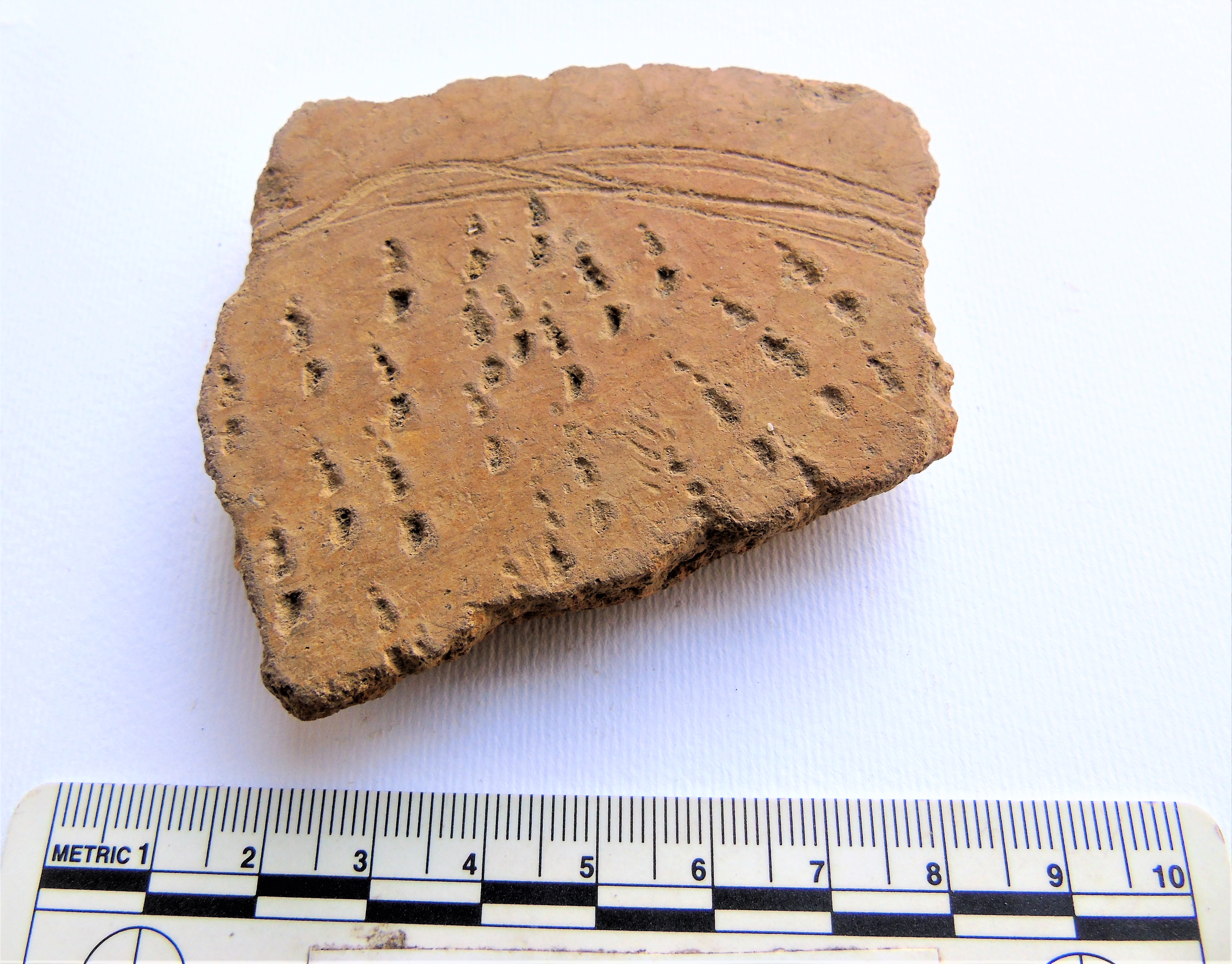 SINGOLO OGGETTO/ tegame, PERIODIZZAZIONI/ PROTOSTORIA/ Età del Bronzo/ Età del Bronzo recente