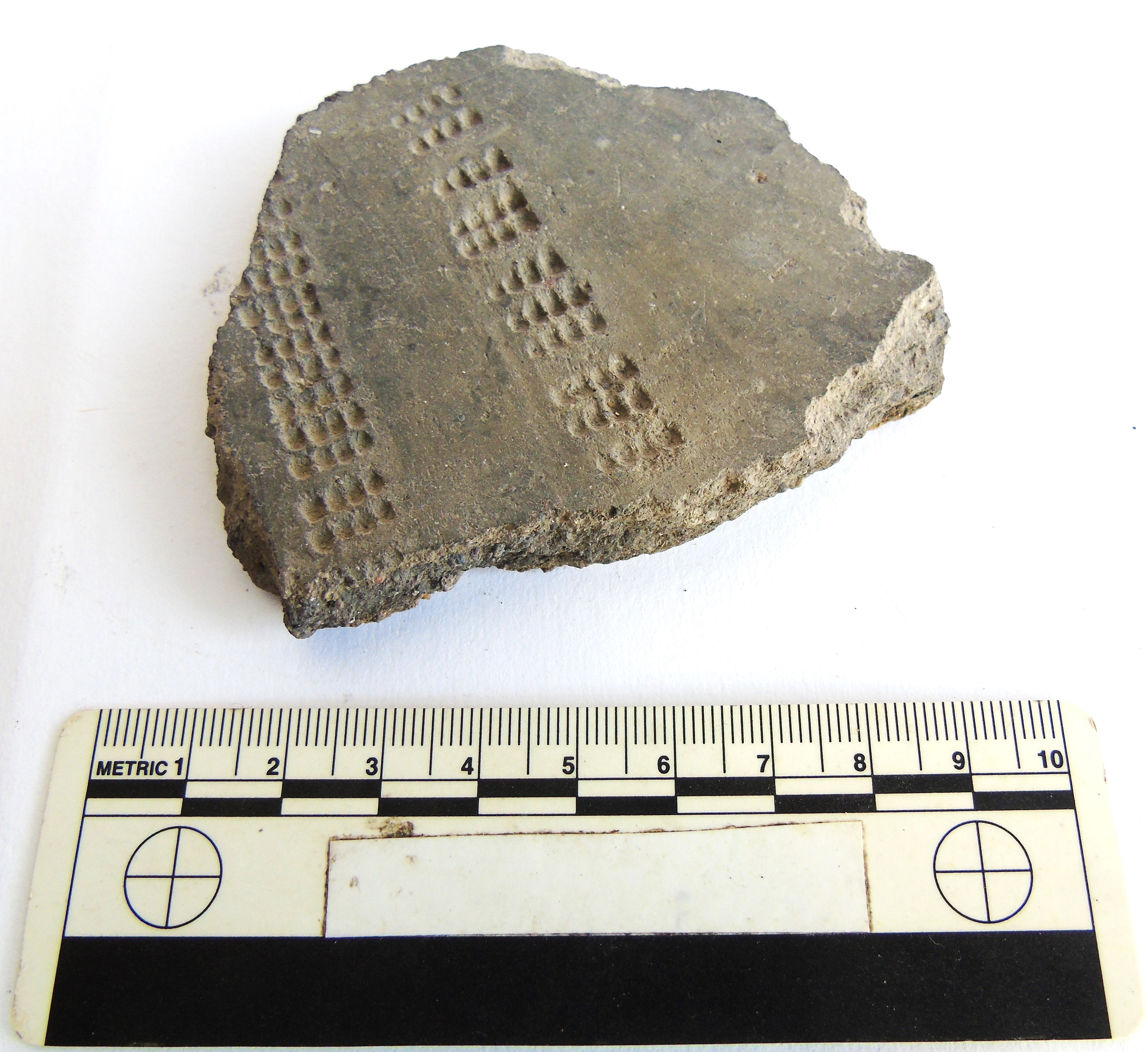 SINGOLO OGGETTO/ tegame, PERIODIZZAZIONI/ PROTOSTORIA/ Età del Bronzo/ Età del Bronzo recente