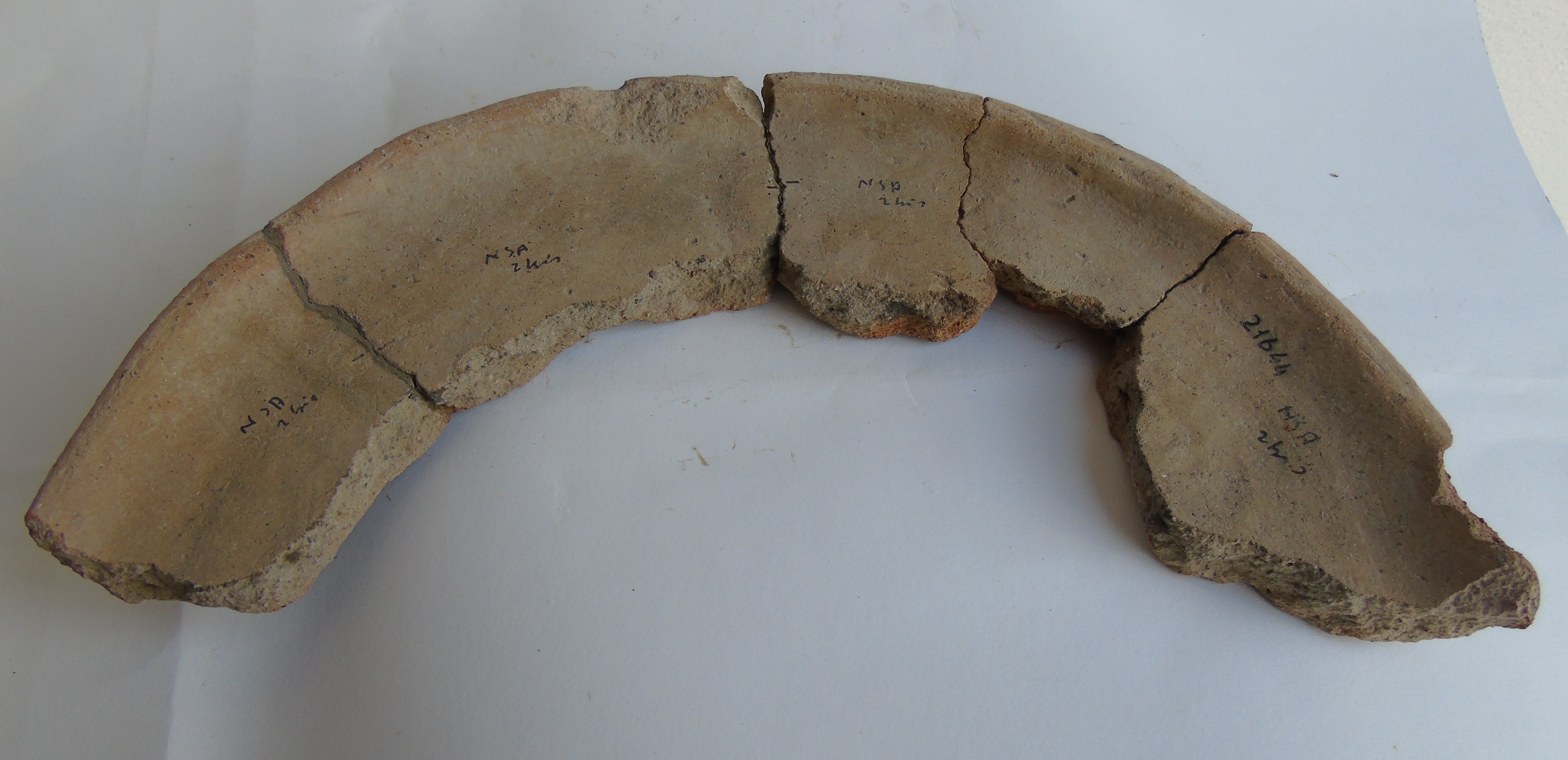 SINGOLO OGGETTO/ teglia, PERIODIZZAZIONI/ PROTOSTORIA/ Età del Bronzo