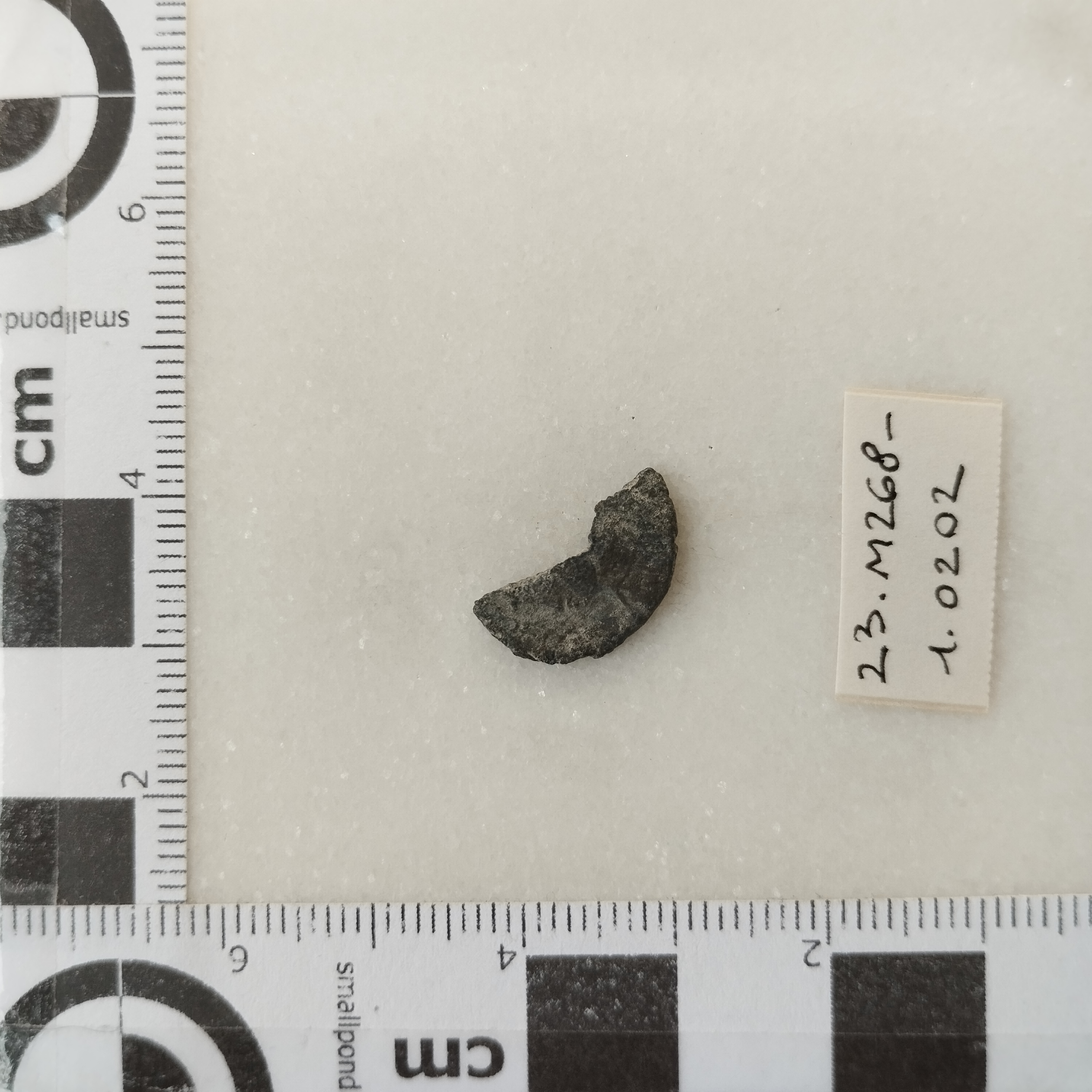 SINGOLO OGGETTO/ moneta, SECOLI/ IV/ 330-337