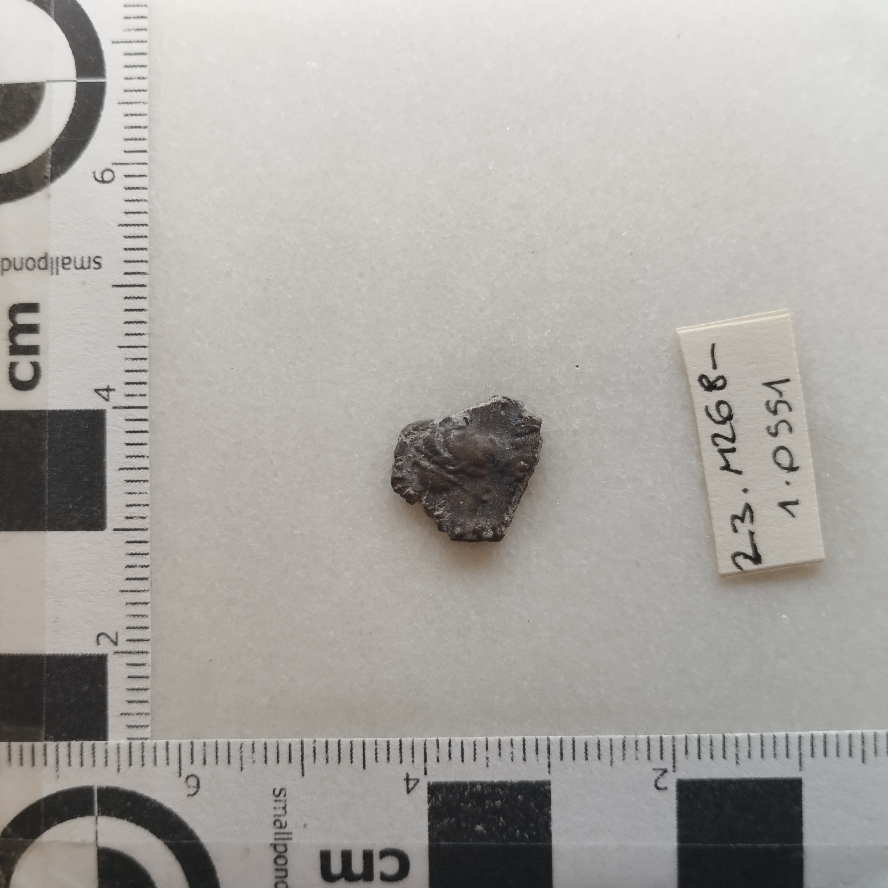 SINGOLO OGGETTO/ moneta, SECOLI/ IV-V/ 383-402