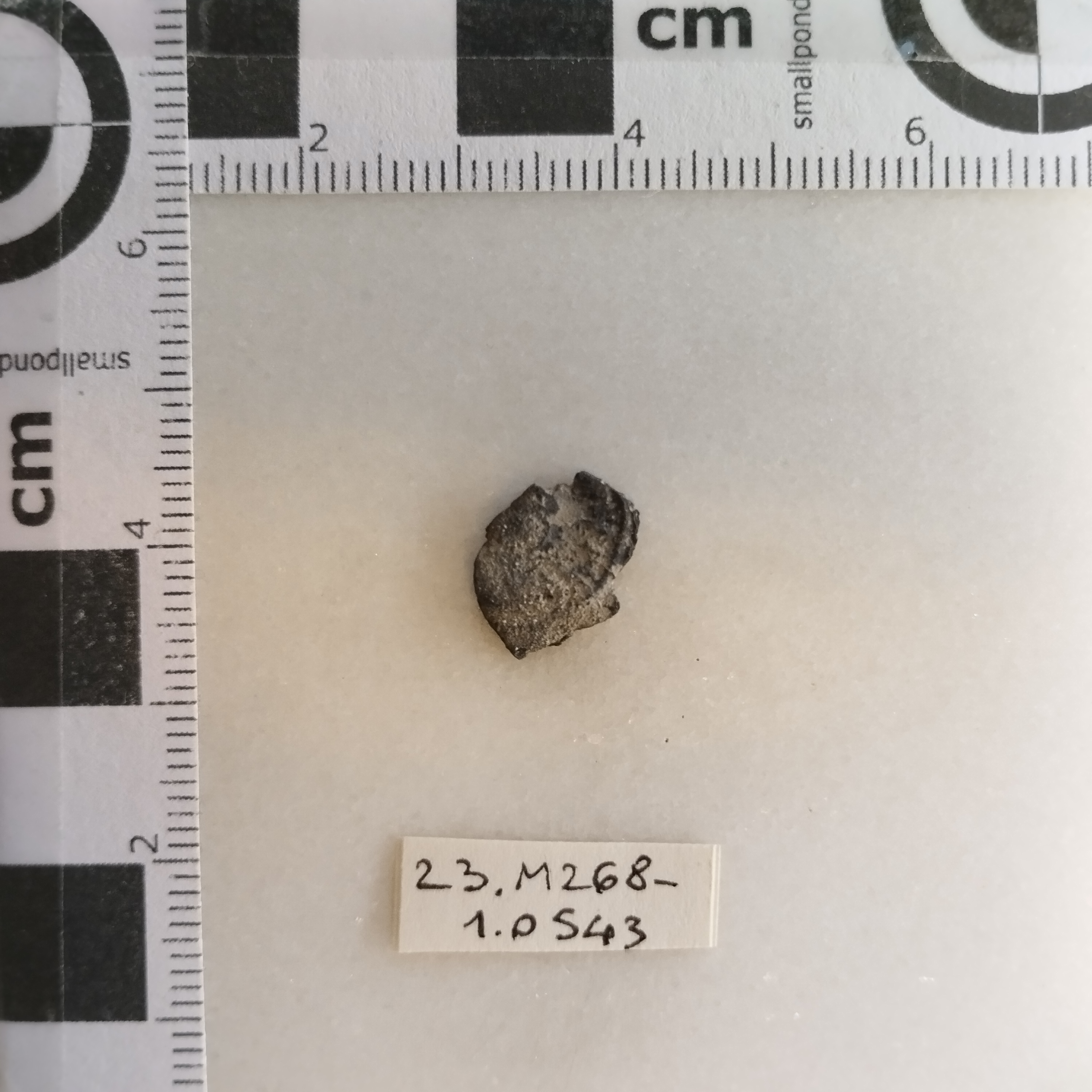 SINGOLO OGGETTO/ moneta, SECOLI/ IV-V/ 388-402