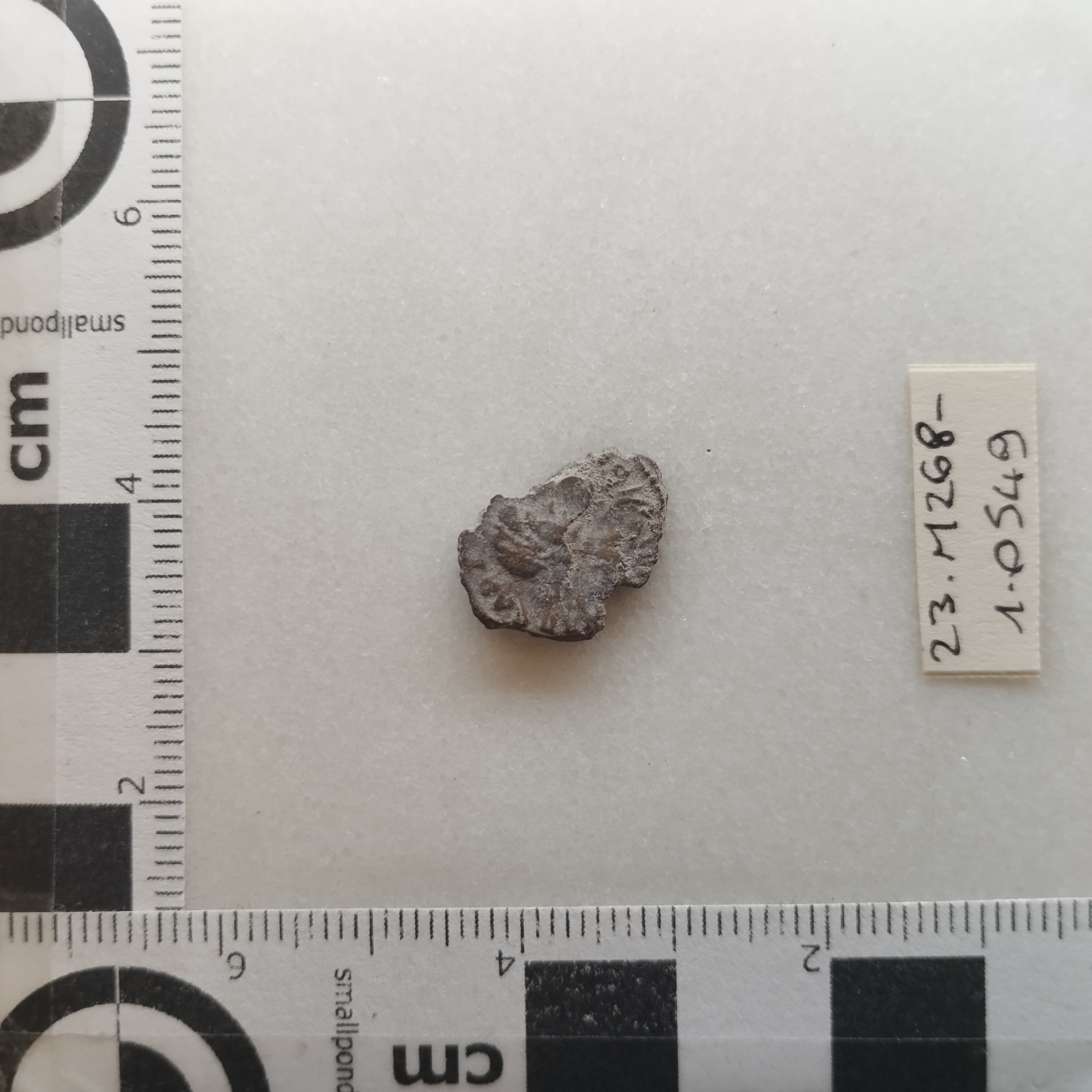 SINGOLO OGGETTO/ moneta, SECOLI/ IV-V/ 388-402