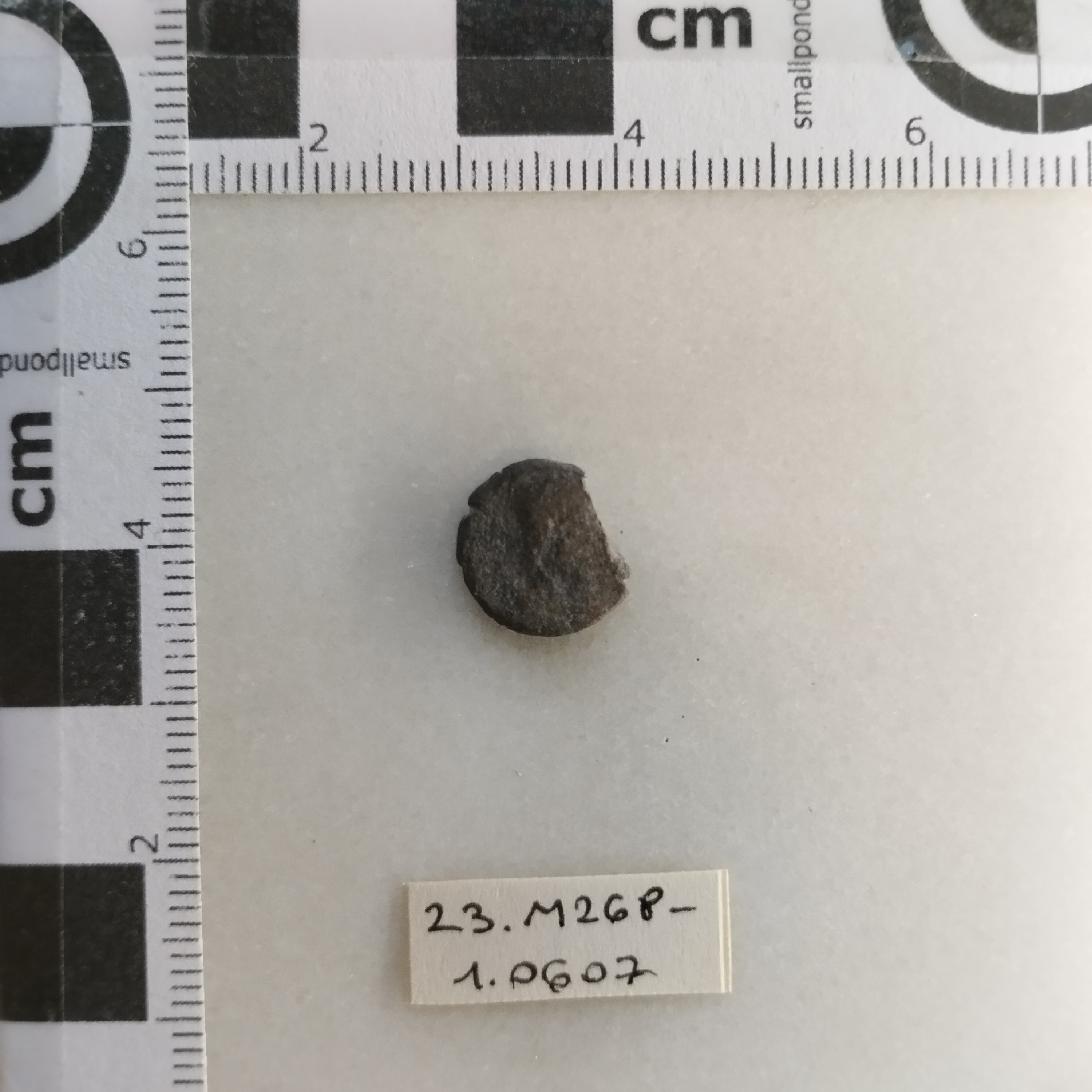 SINGOLO OGGETTO/ moneta, SECOLI/ IV-V/ 383-455