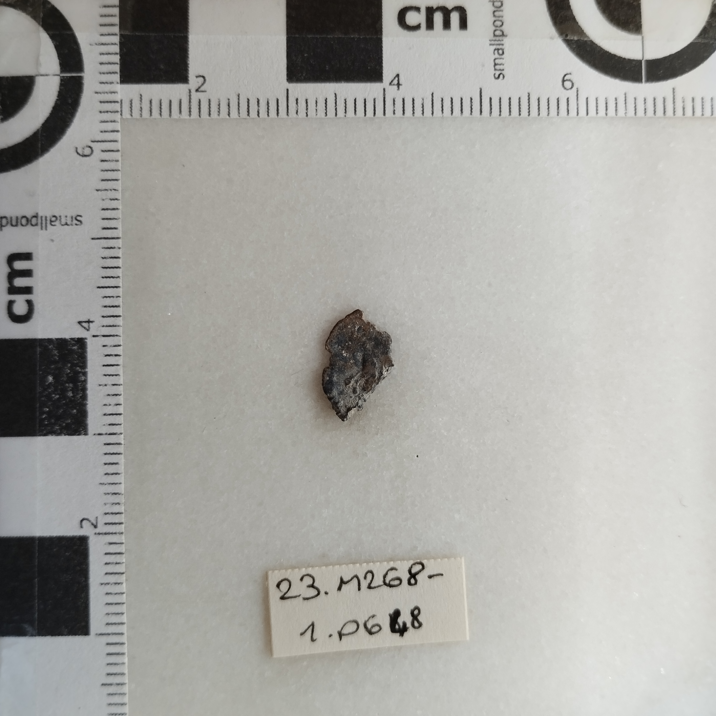 SINGOLO OGGETTO/ moneta, SECOLI/ IV-V/ 383-455