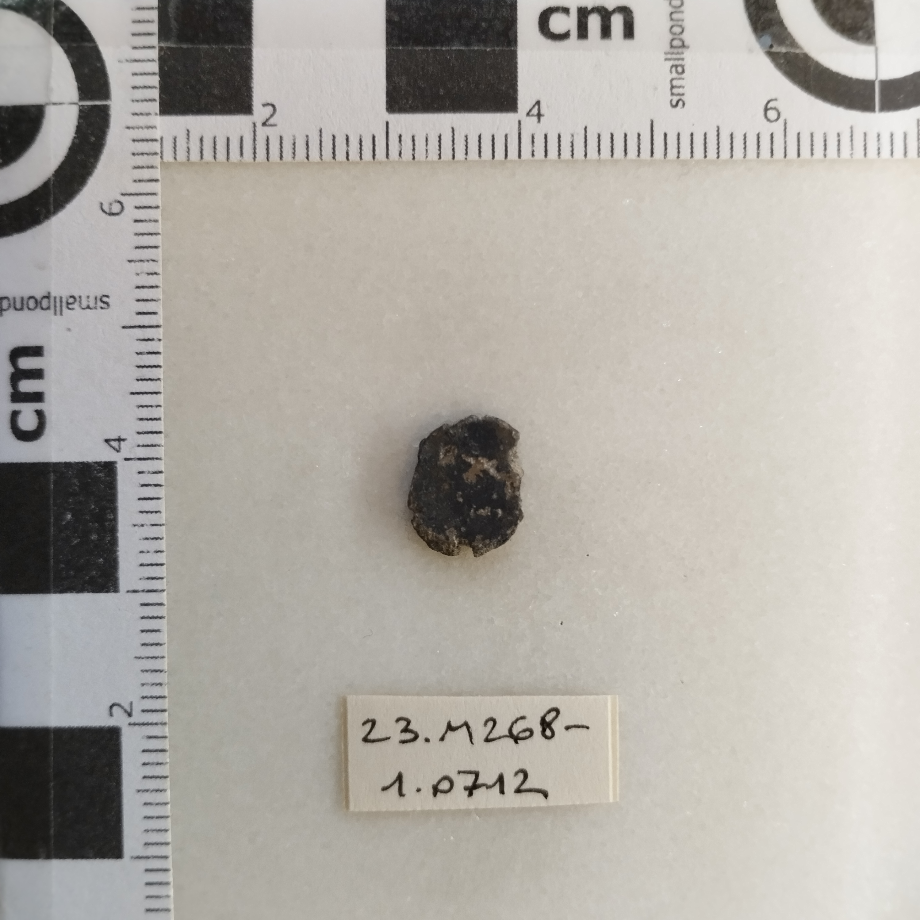 SINGOLO OGGETTO/ moneta, SECOLI/ IV-V