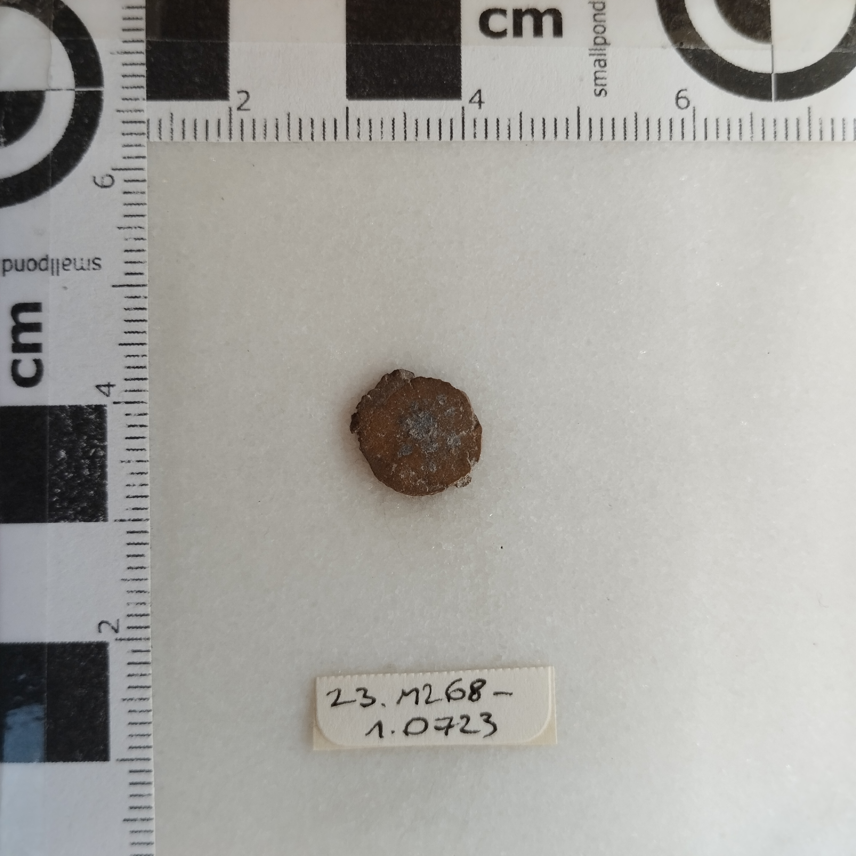 SINGOLO OGGETTO/ moneta, SECOLI/ IV-V