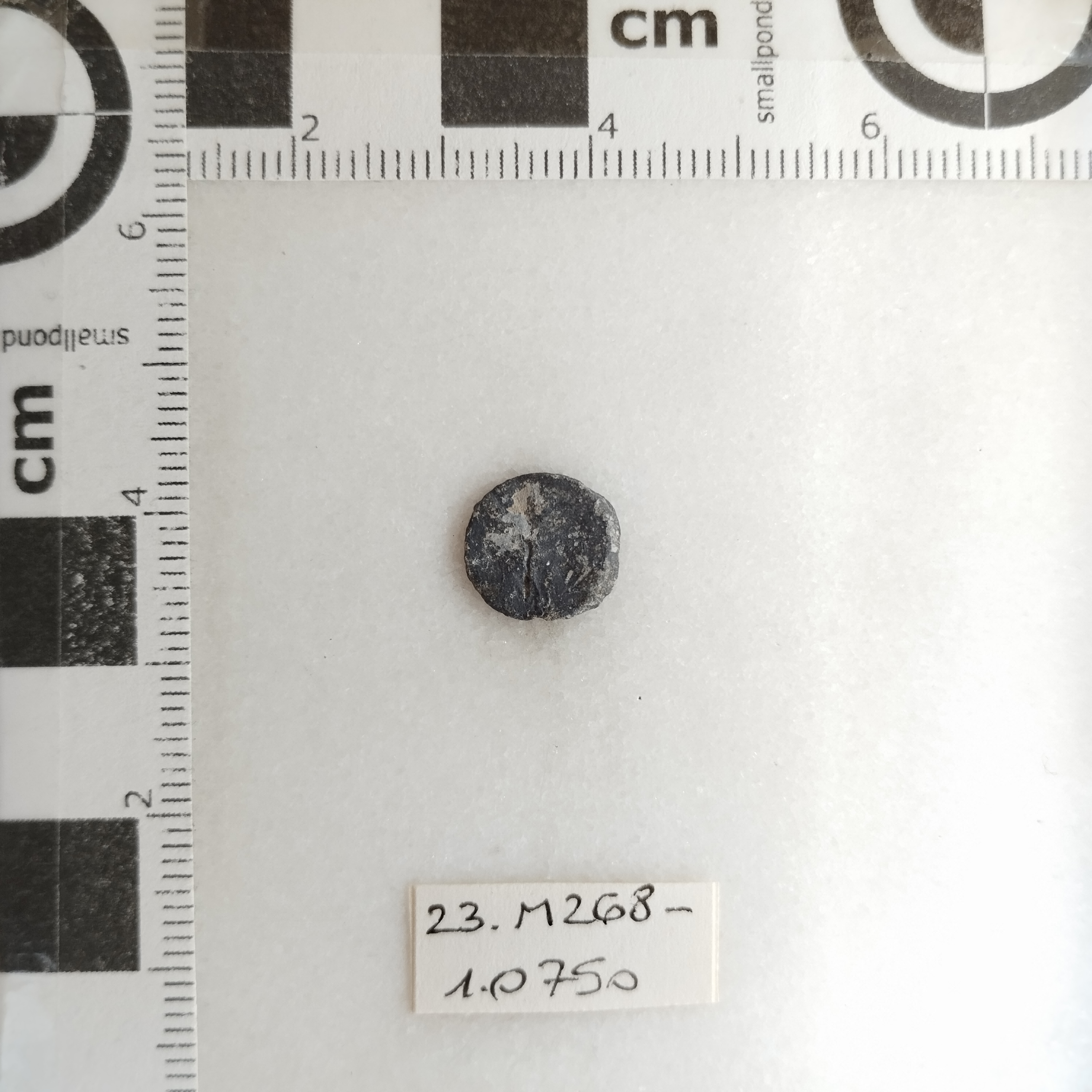 SINGOLO OGGETTO/ moneta, SECOLI/ IV-V