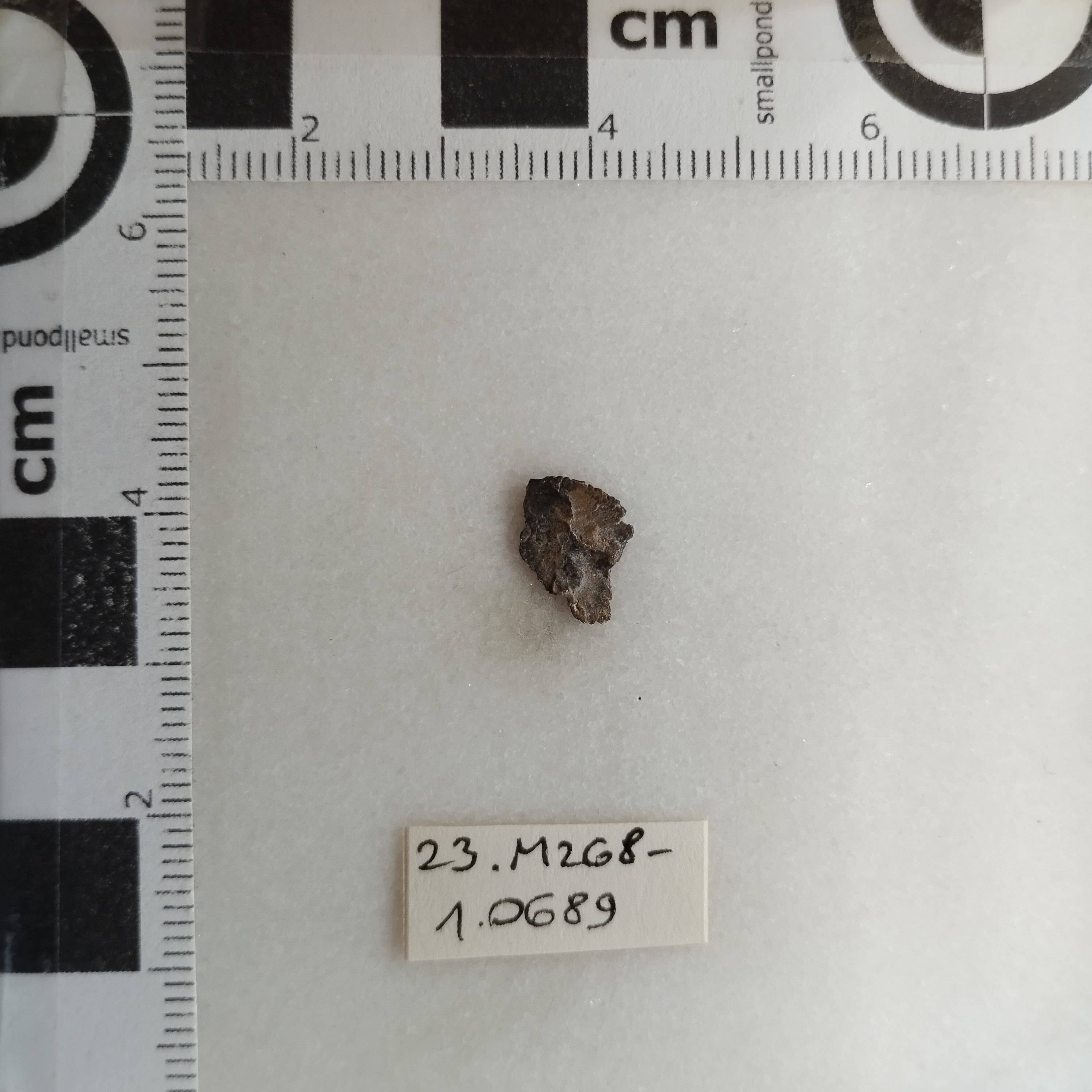 SINGOLO OGGETTO/ moneta, SECOLI/ fine III-V