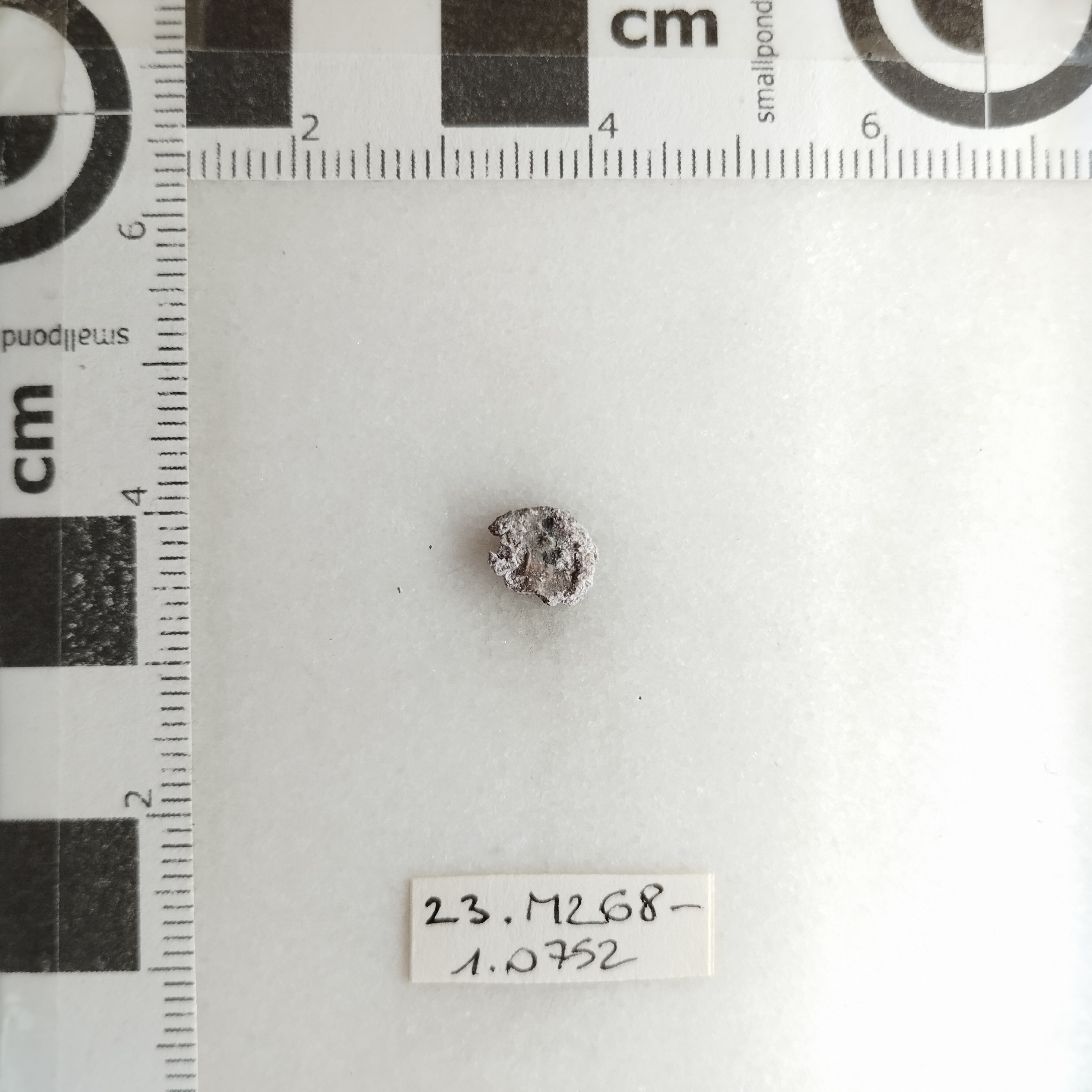 SINGOLO OGGETTO/ moneta, SECOLI/ IV-V