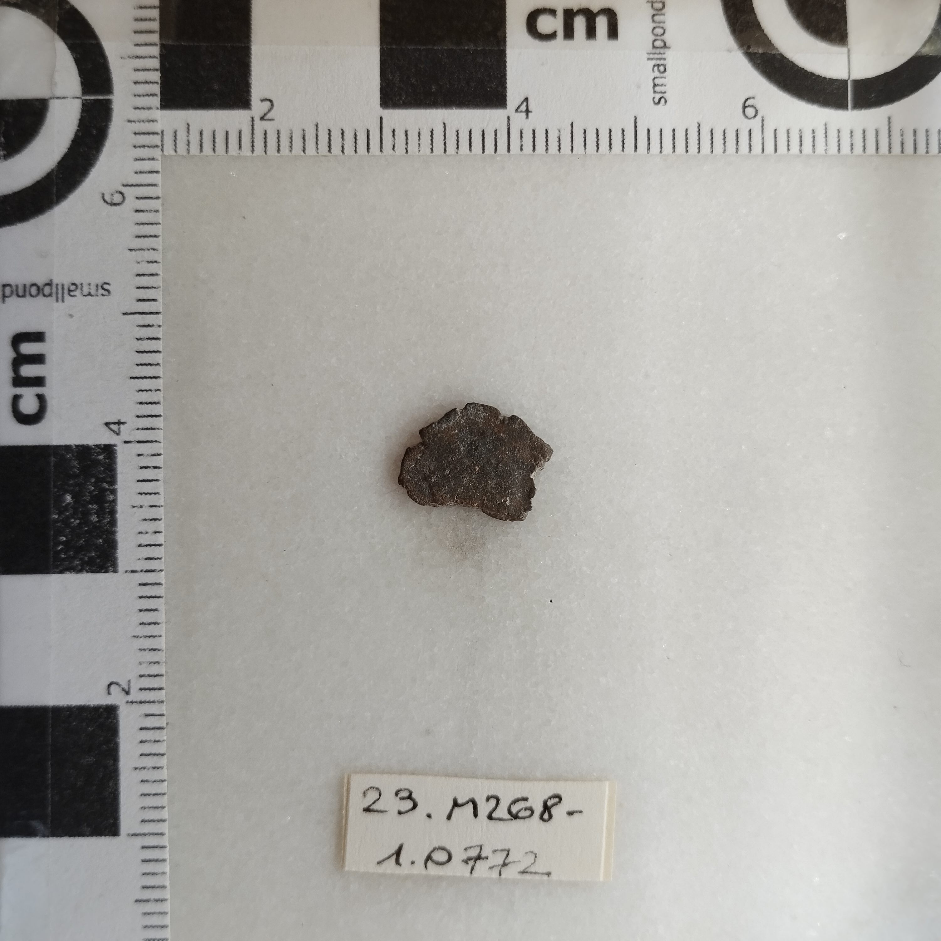 SINGOLO OGGETTO/ moneta, SECOLI/ III-V