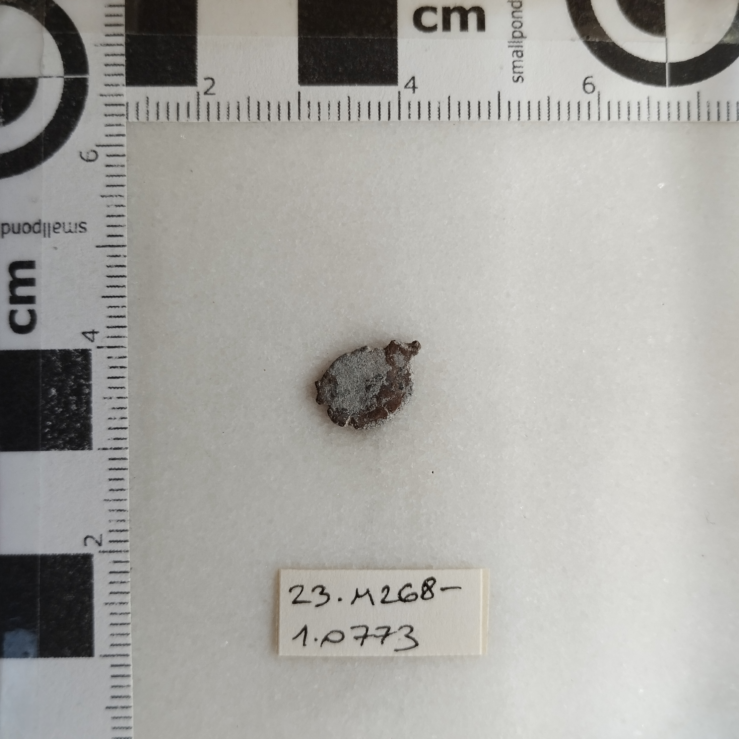 SINGOLO OGGETTO/ moneta, SECOLI/ III-V