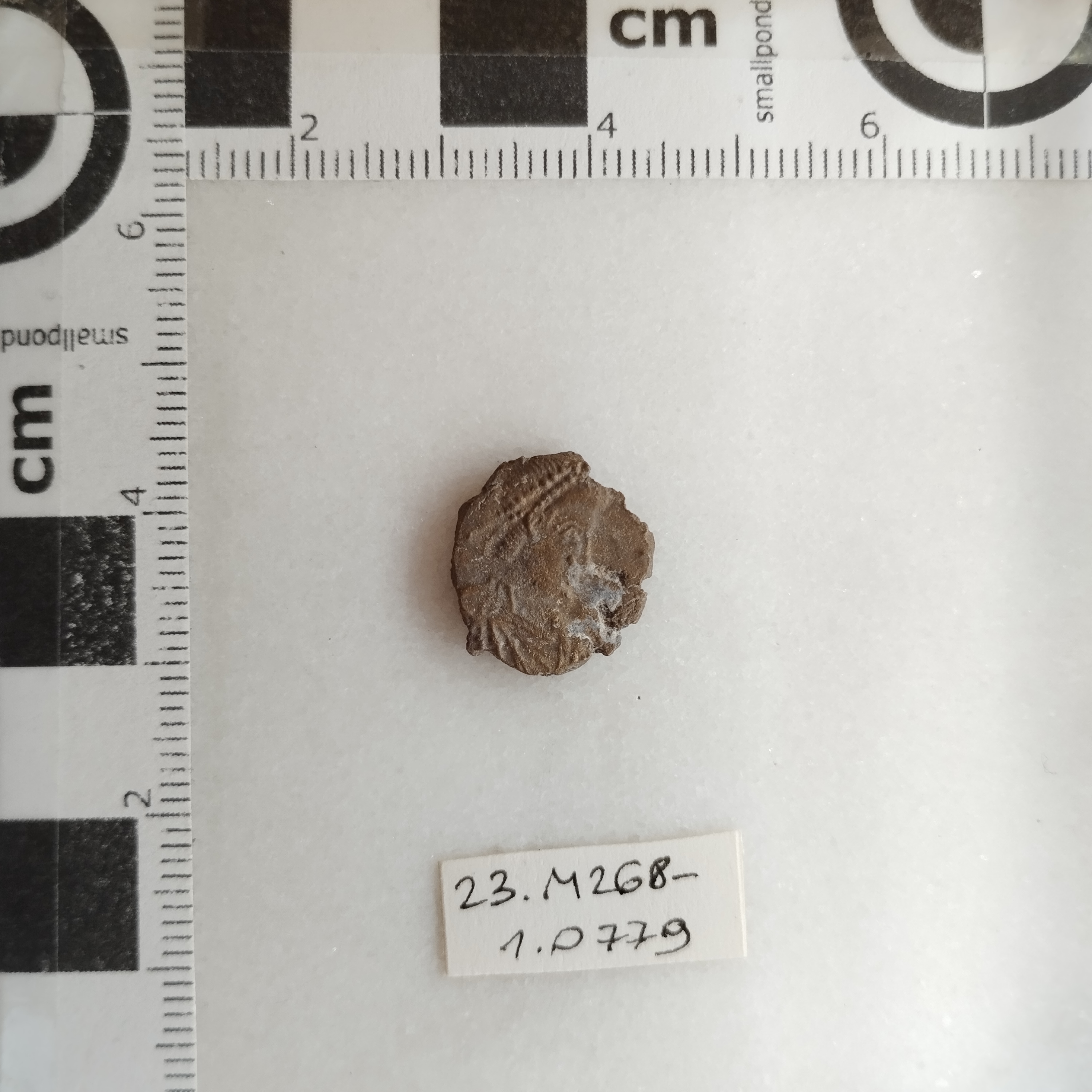 SINGOLO OGGETTO/ moneta, SECOLI/ V/ 408-423