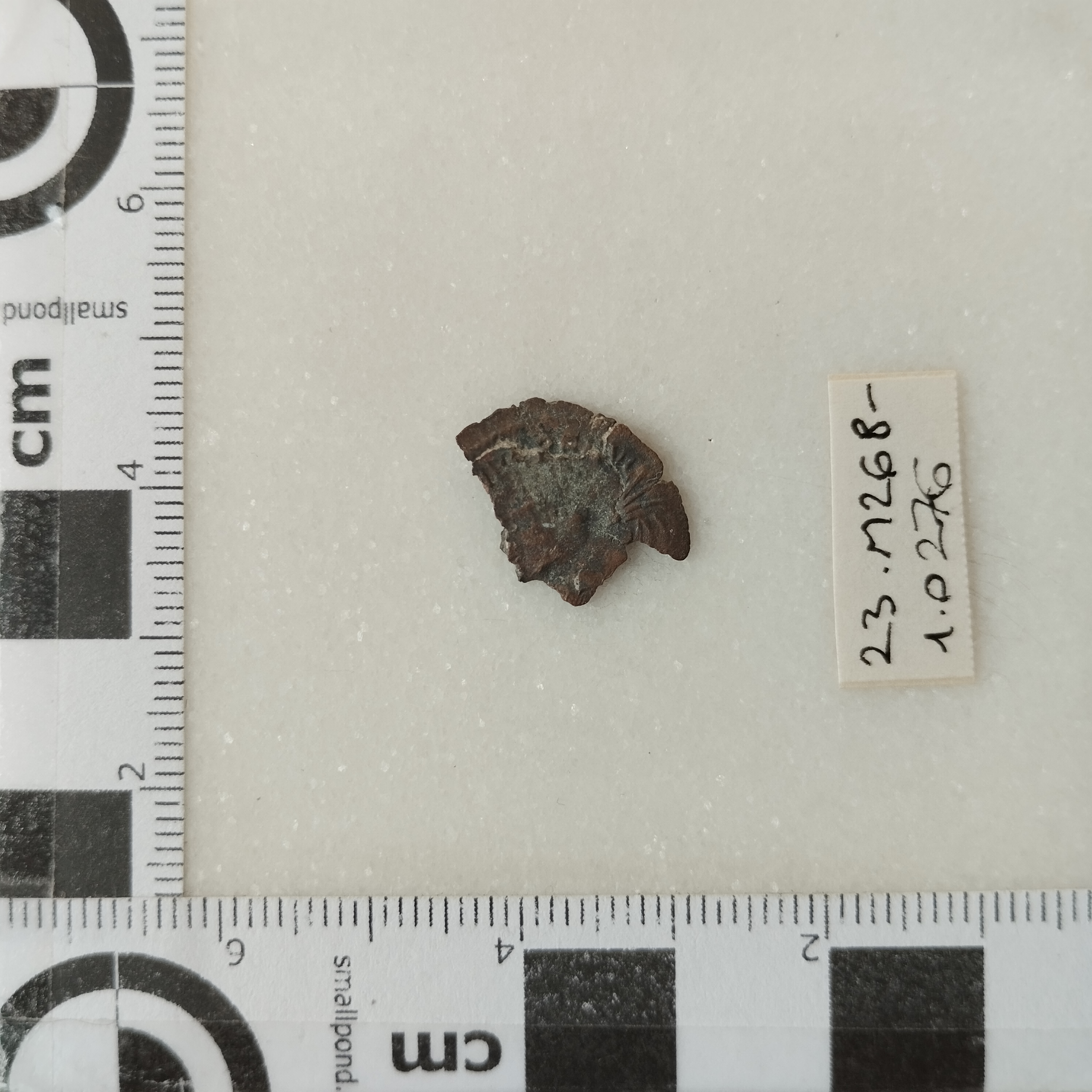 SINGOLO OGGETTO/ moneta, SECOLI/ IV/ 348-361