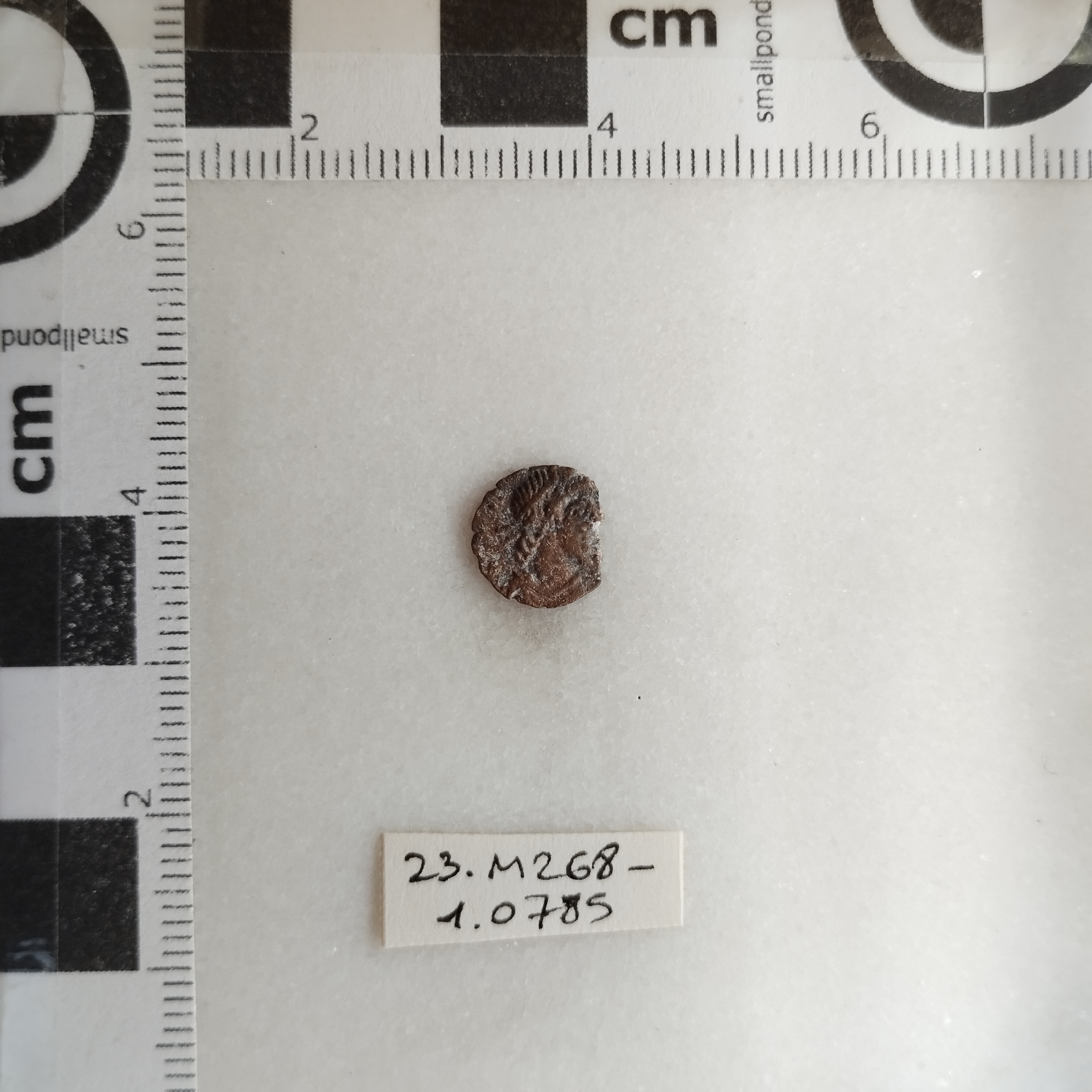 SINGOLO OGGETTO/ moneta, SECOLI/ IV-V