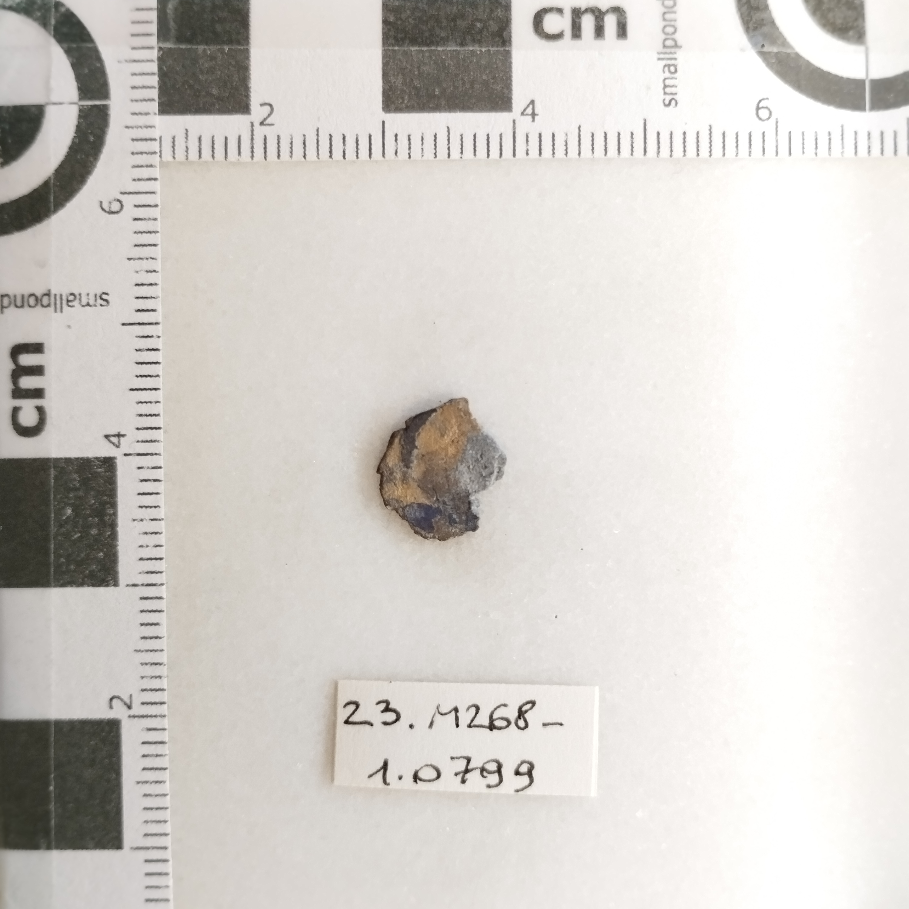 SINGOLO OGGETTO/ moneta, non determinabile