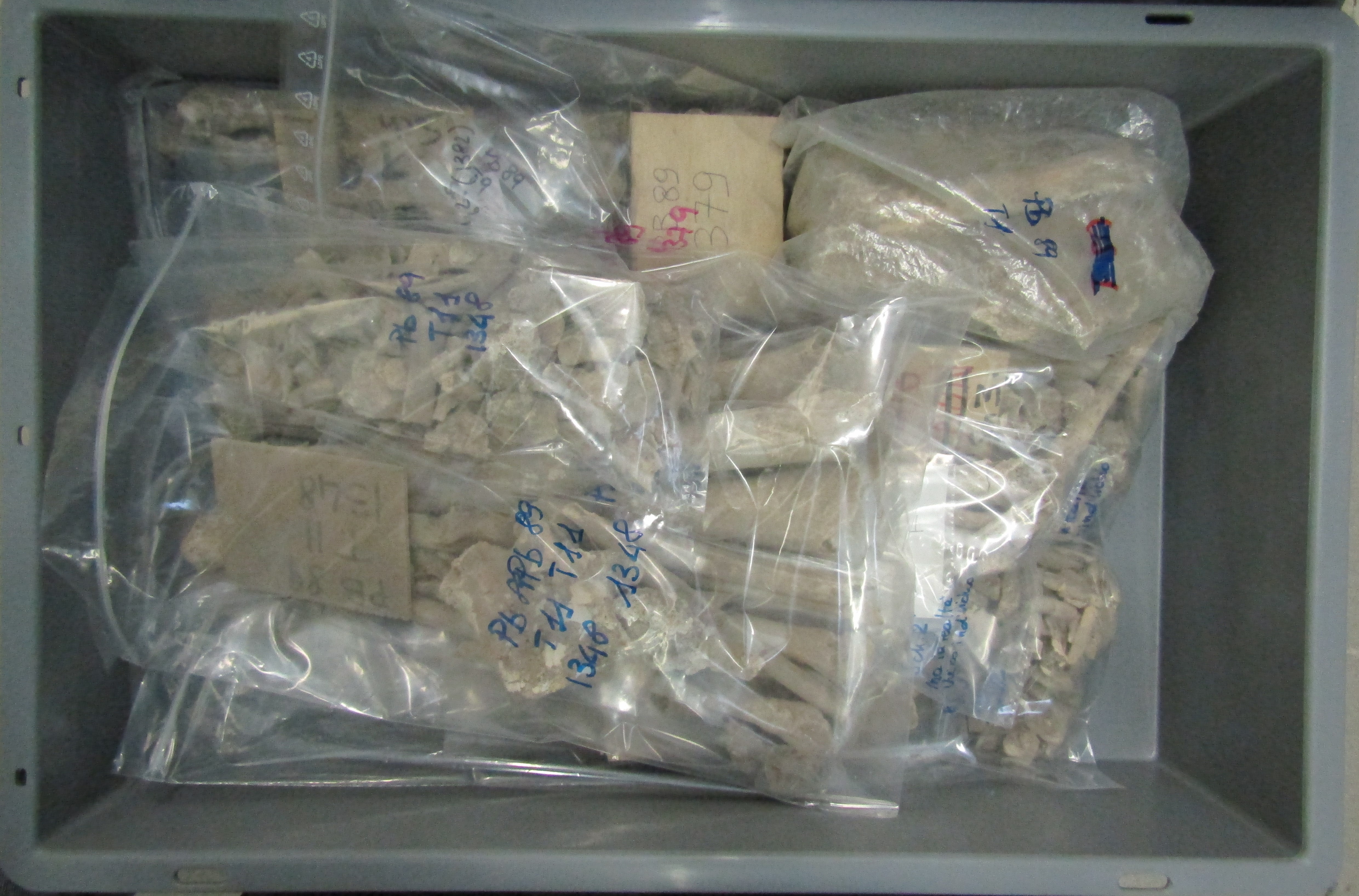 reperti antropologici pertinenti a più individui, reperti ossei (morfologia naturale, inumato) (PERIODIZZAZIONI/ STORIA/ Età antica/ Età romana/ Età romana imperiale)