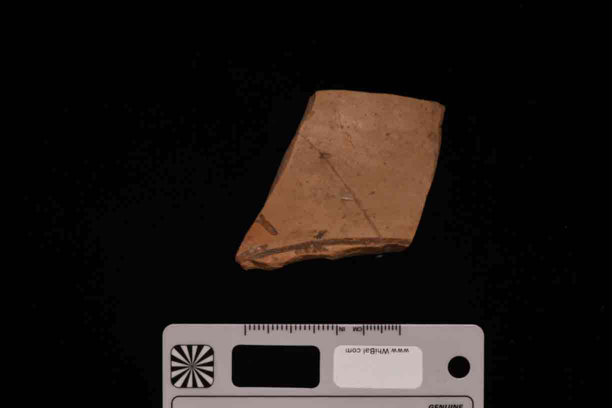 frammento (PERIODIZZAZIONI/ PREISTORIA/ Neolitico)