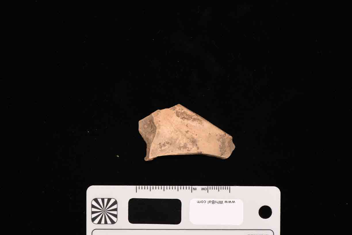 frammento (PERIODIZZAZIONI/ PREISTORIA/ Neolitico)