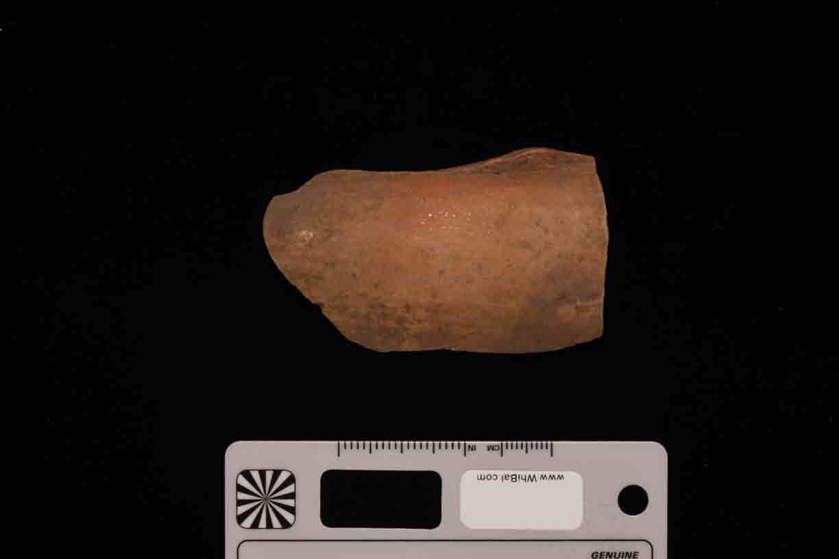 frammento (PERIODIZZAZIONI/ PREISTORIA/ Neolitico)