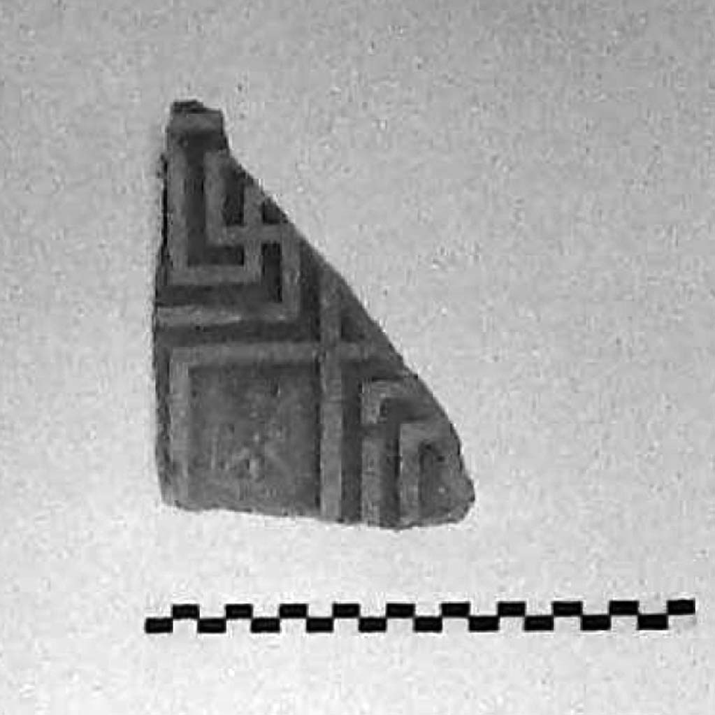 motivi decorativi geometrici (cassetta) (seconda metà VI a.C)