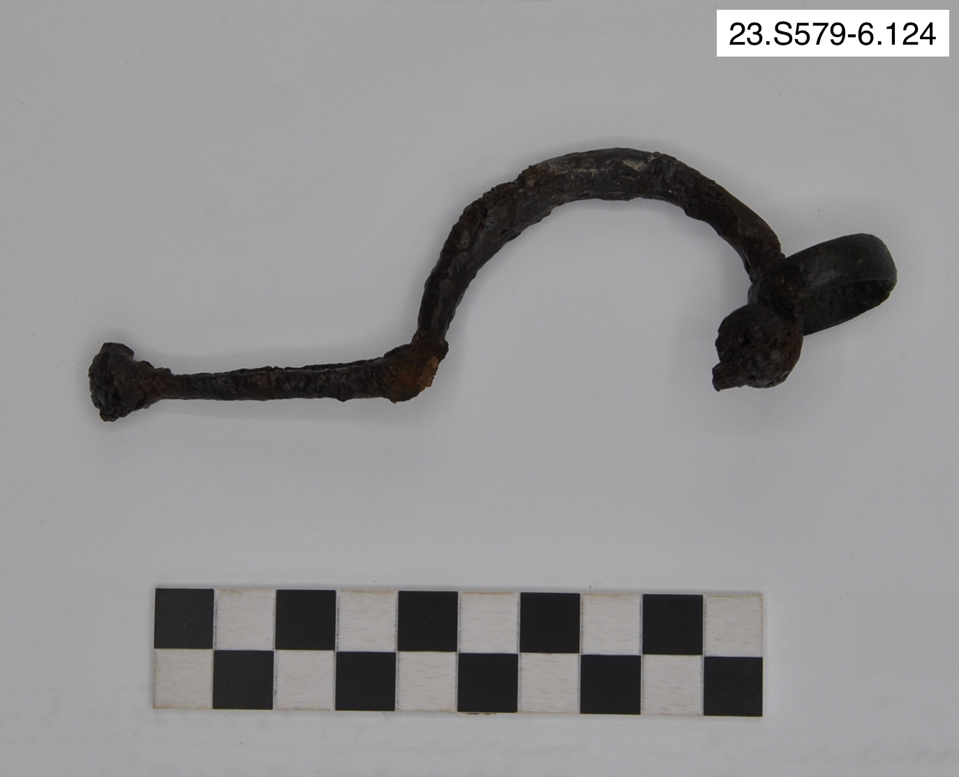 SINGOLO OGGETTO/ fibula, SECOLI/ VI a.C