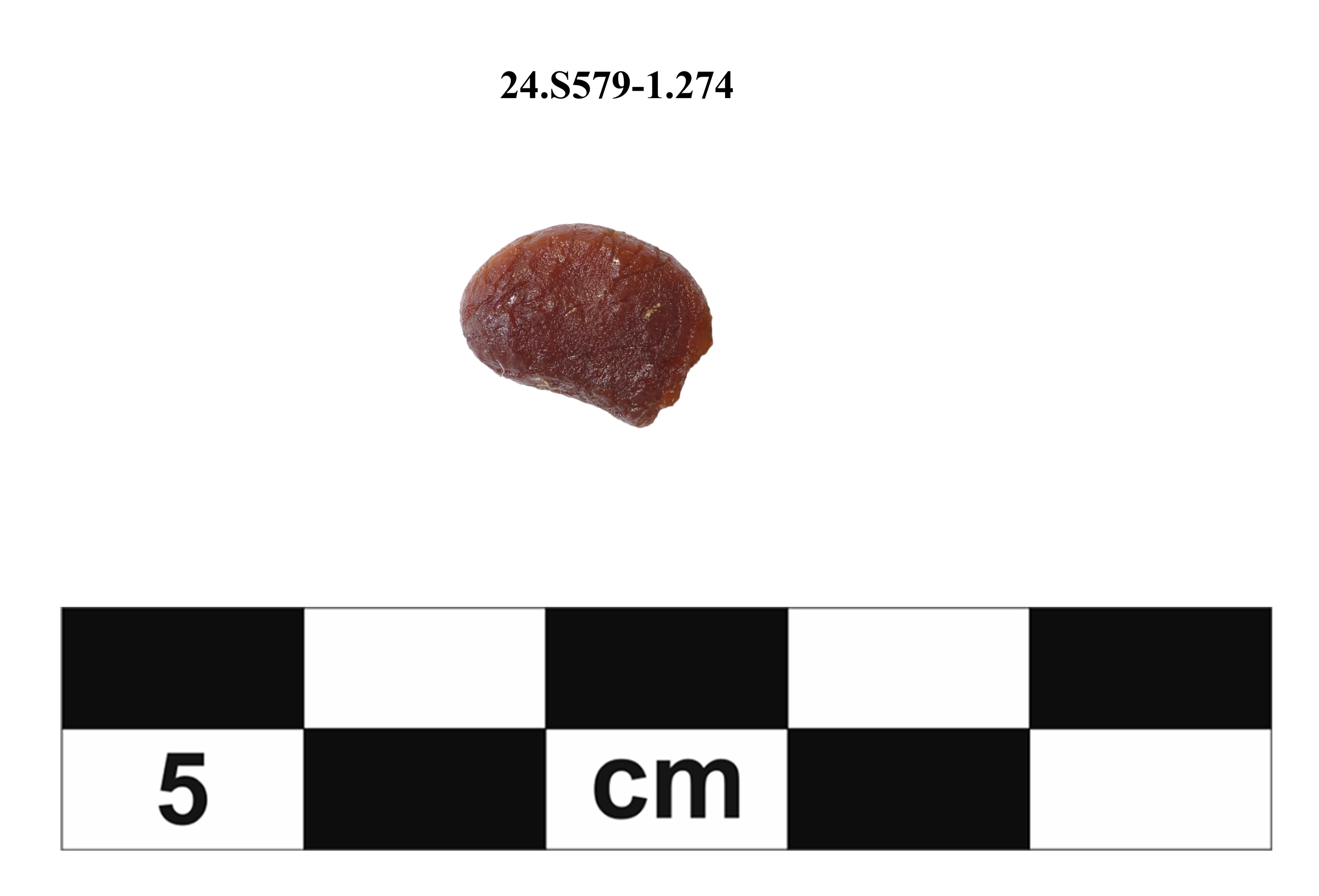 SINGOLO OGGETTO, SECOLI/ VI a.C