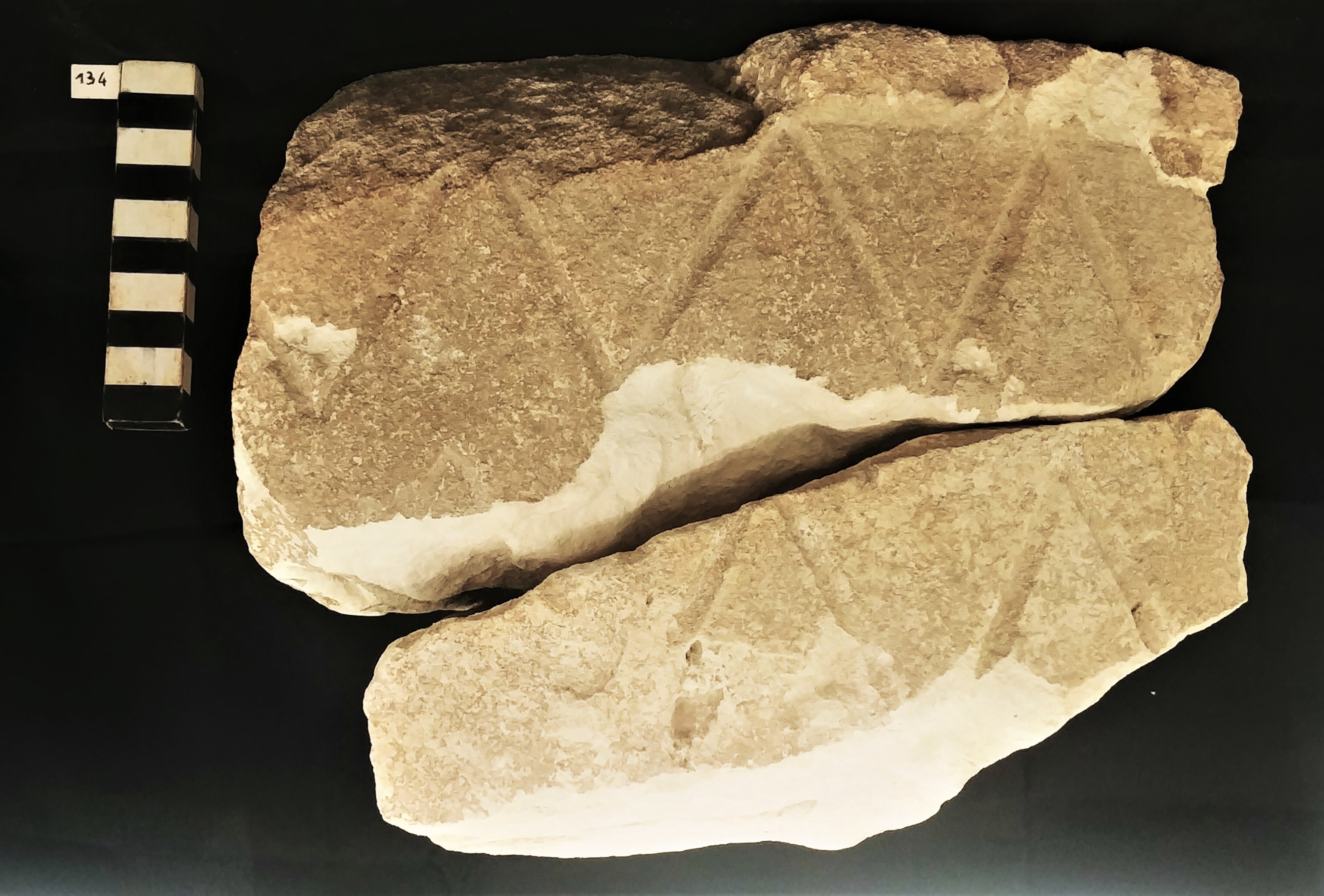 SINGOLO OGGETTO/ scultura, MILLENNI/ I millennio a.C