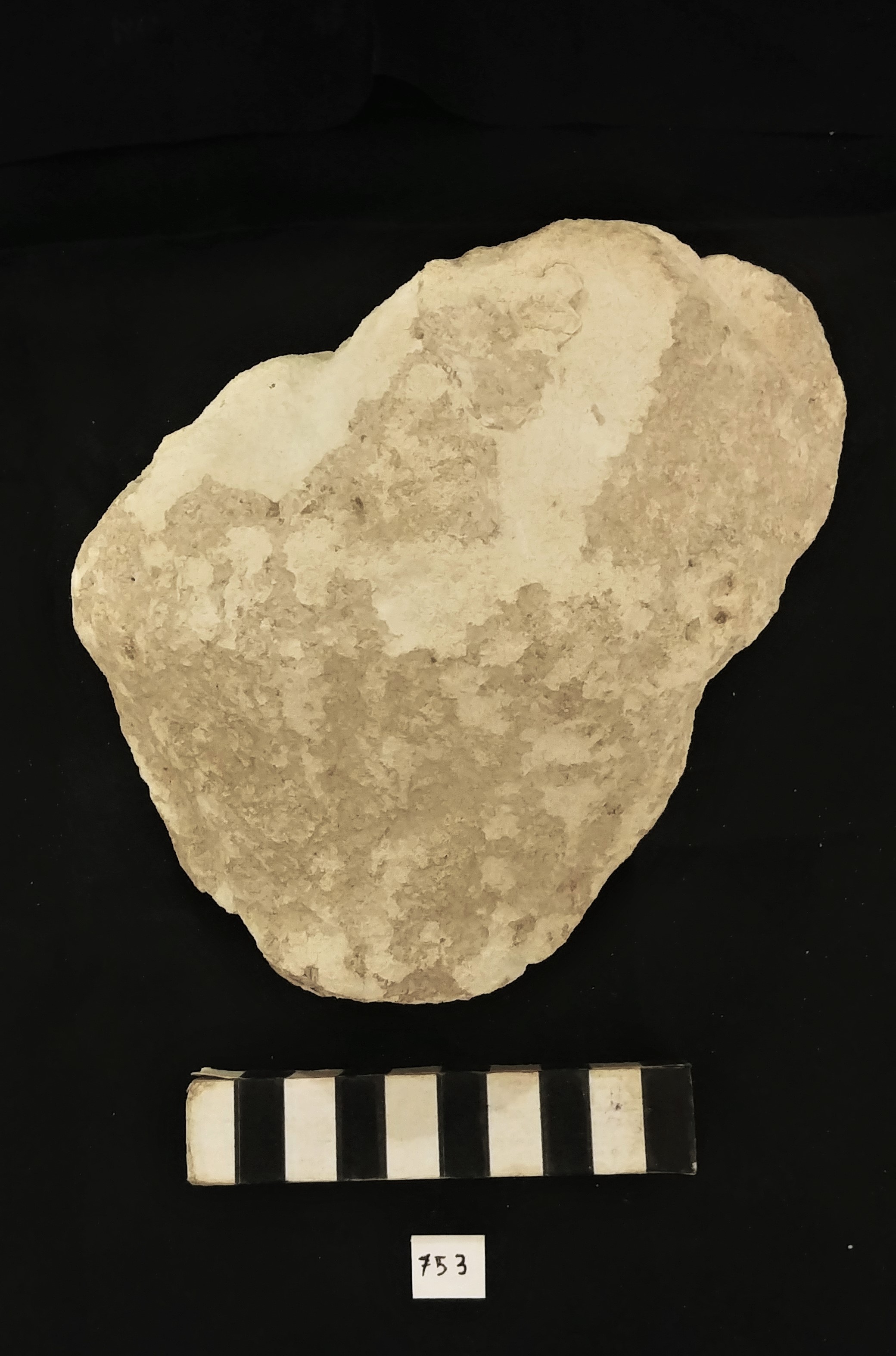 SINGOLO OGGETTO/ scultura, MILLENNI/ I millennio a.C