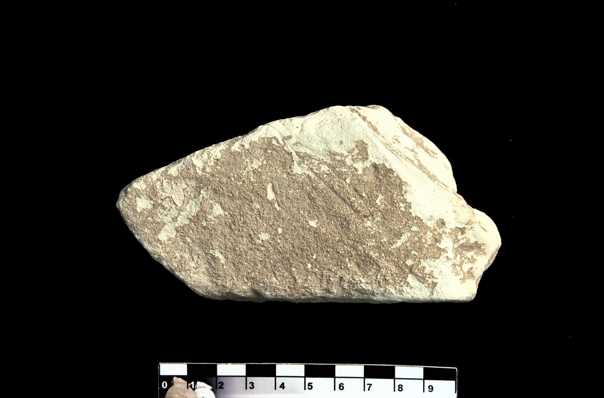 SINGOLO OGGETTO/ scultura, MILLENNI/ I millennio a.C