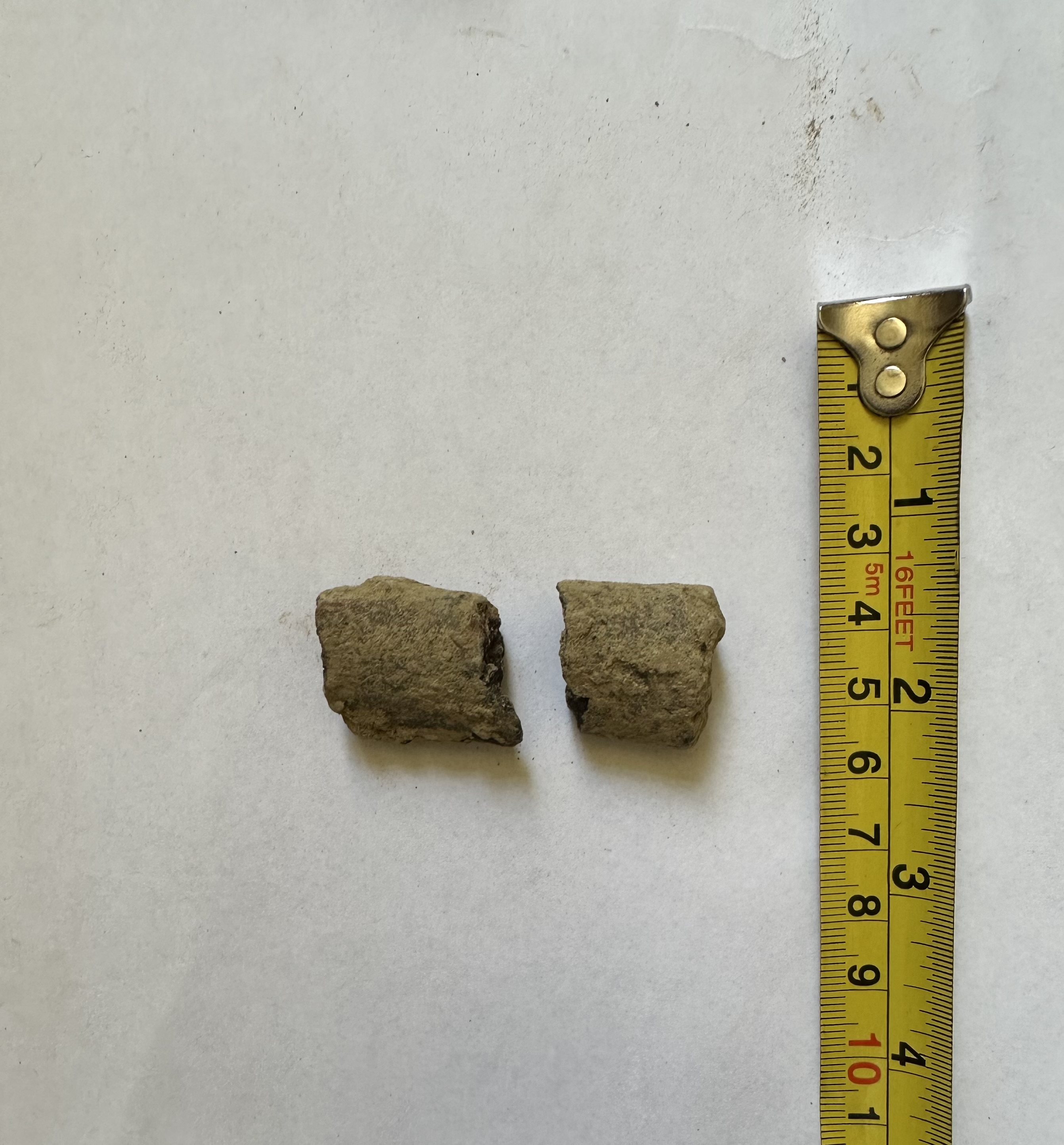 SINGOLO OGGETTO/ olla, PERIODIZZAZIONI/ STORIA/ Età antica/ Età romana/ Età romana imperiale