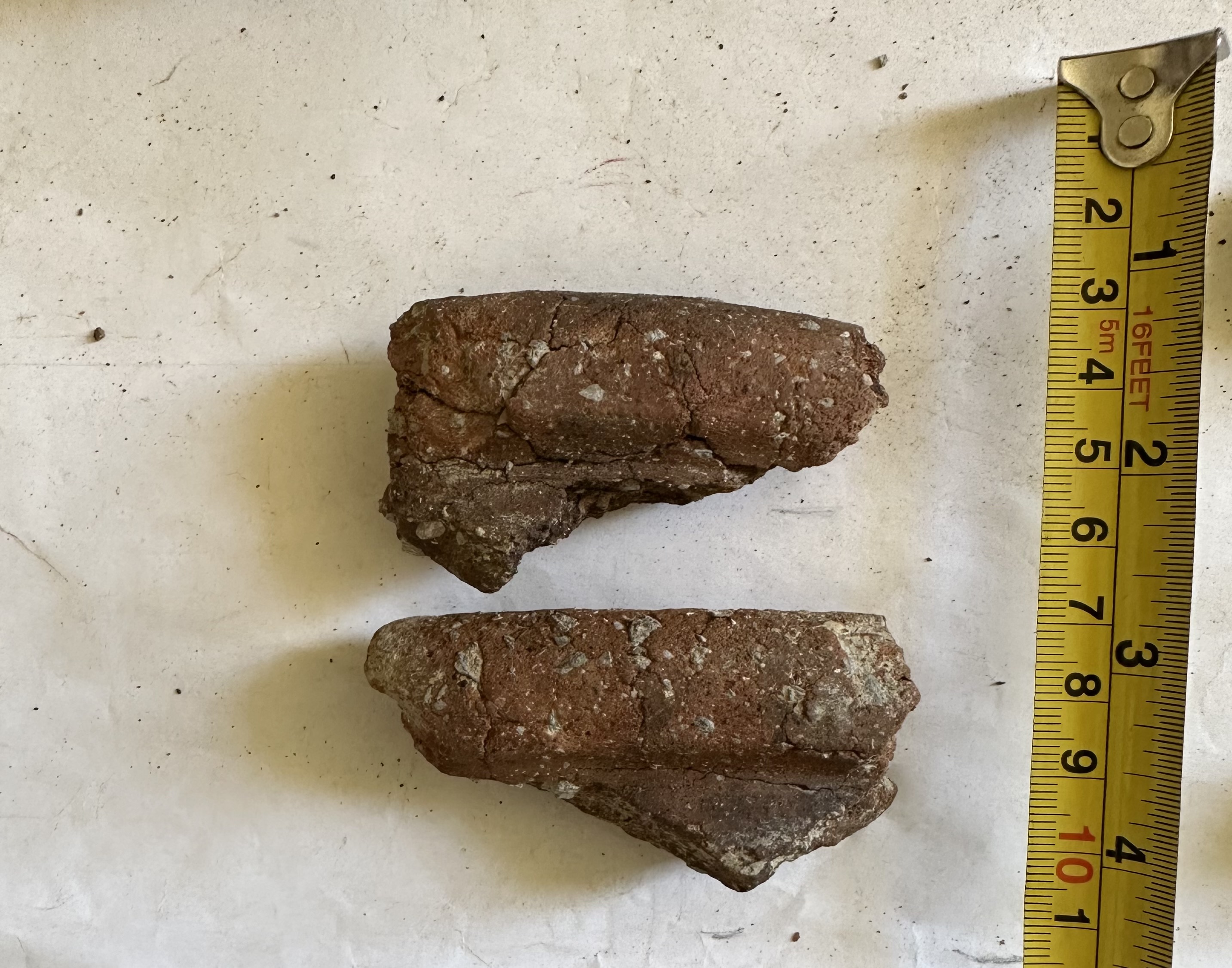 SINGOLO OGGETTO/ olla, PERIODIZZAZIONI/ STORIA/ Età antica/ Età romana/ Età romana imperiale