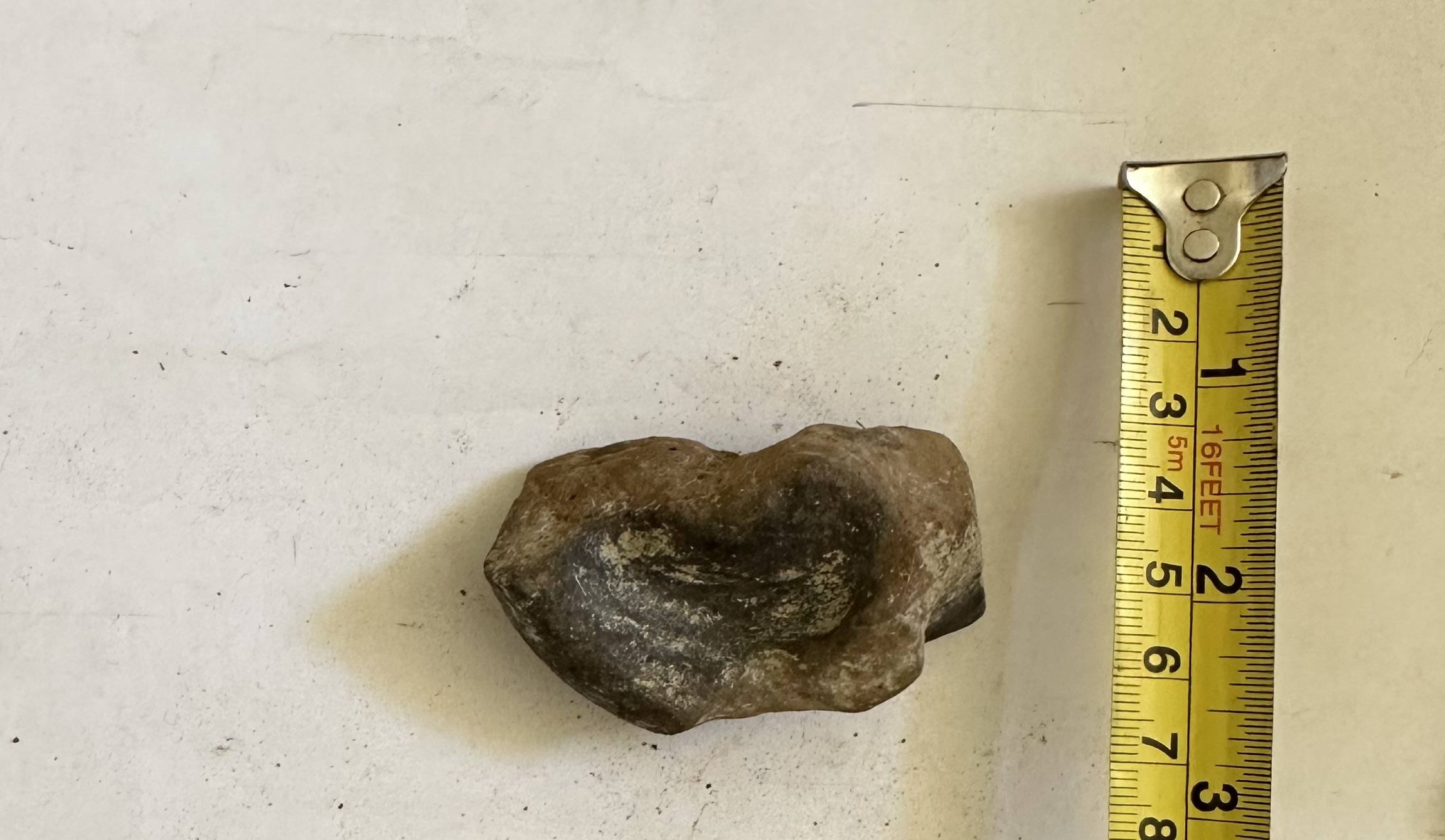 SINGOLO OGGETTO/ coppa, PERIODIZZAZIONI/ PROTOSTORIA/ Età del Ferro/ Seconda età del Ferro