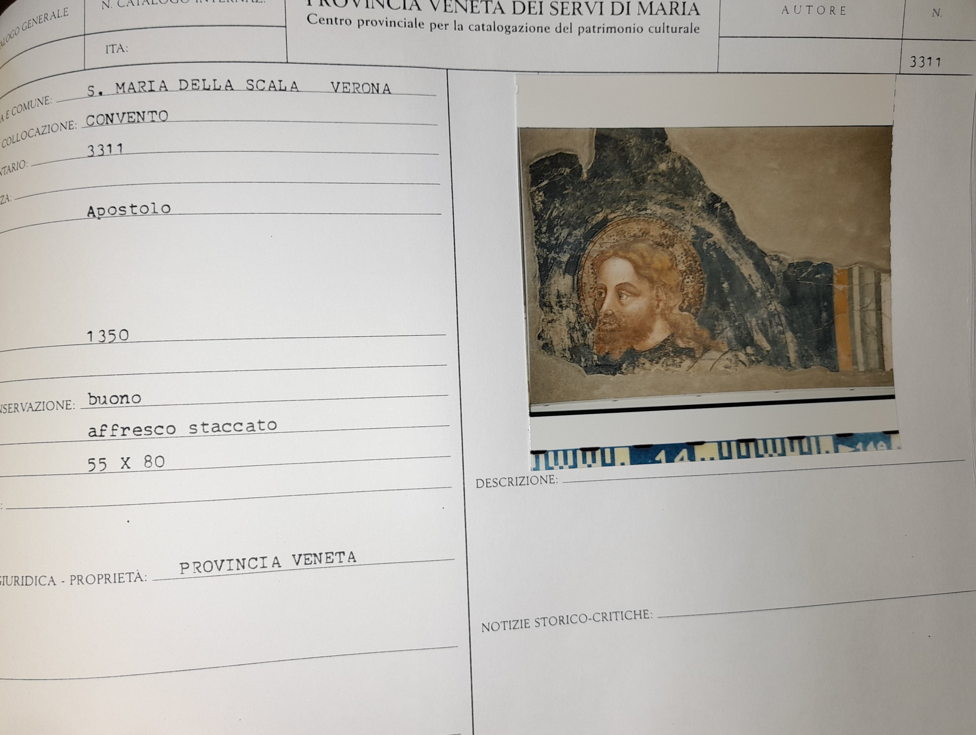 San Giorgio (dipinto, frammento) - ambito veronese (terzo quarto XIV)