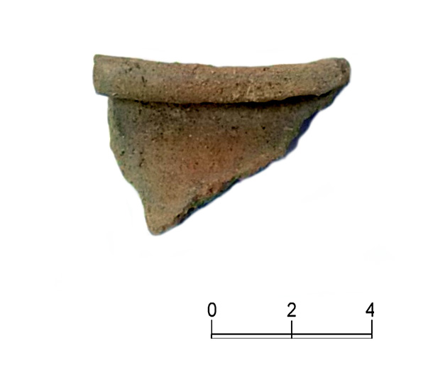 SINGOLO OGGETTO/ olla, SECOLI/ ARCHI DI SECOLI/ III a.C.-II a.C