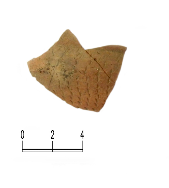 SINGOLO OGGETTO/ olla, SECOLI/ I a.C, SECOLI/ I