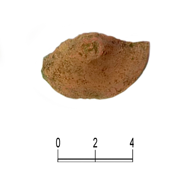 SINGOLO OGGETTO/ coperchio, PERIODIZZAZIONI/ STORIA/ Età antica/ Età romana