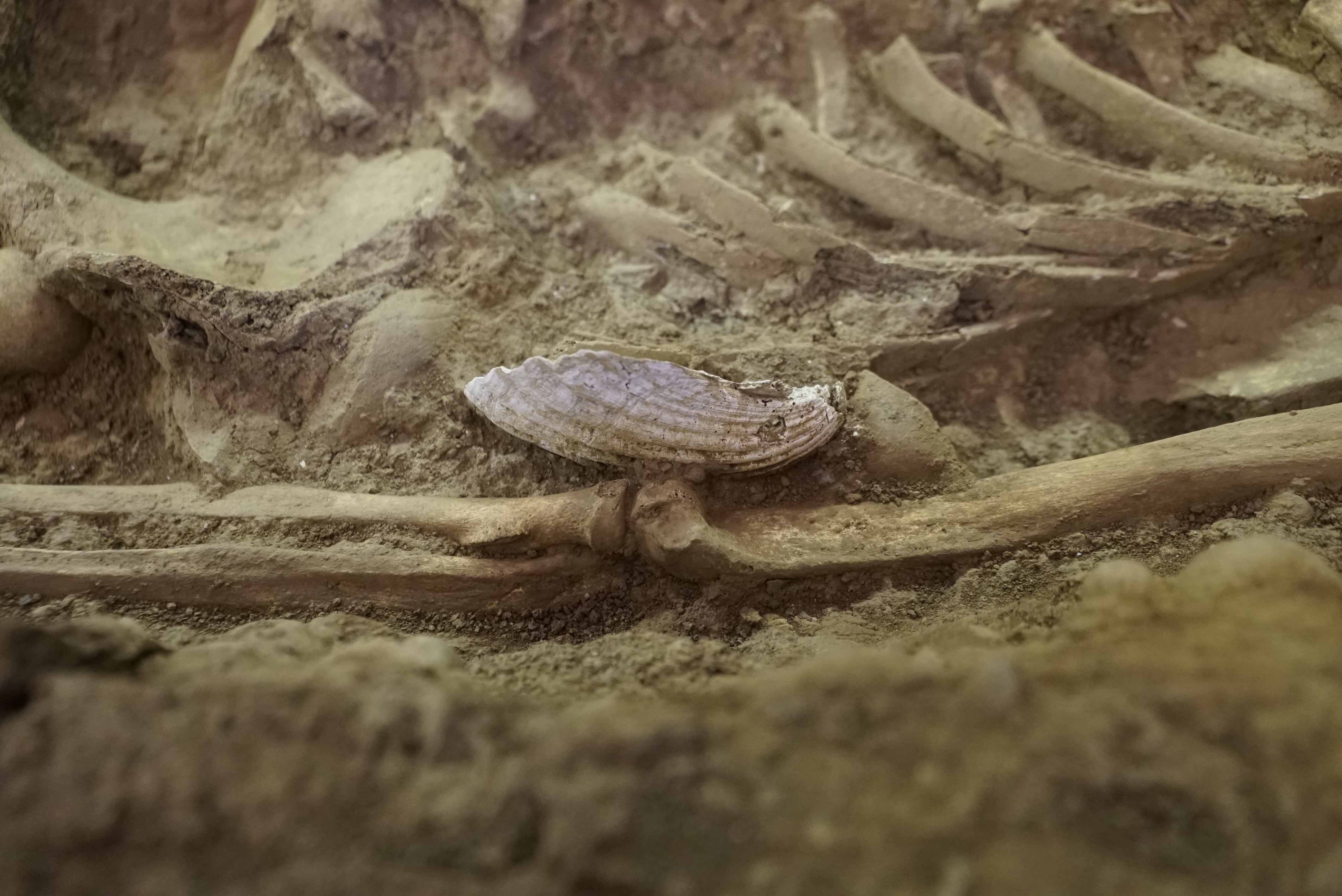 SINGOLO OGGETTO/ pendente, SECOLI/ XII, SECOLI/ XIII, SECOLI/ XIV