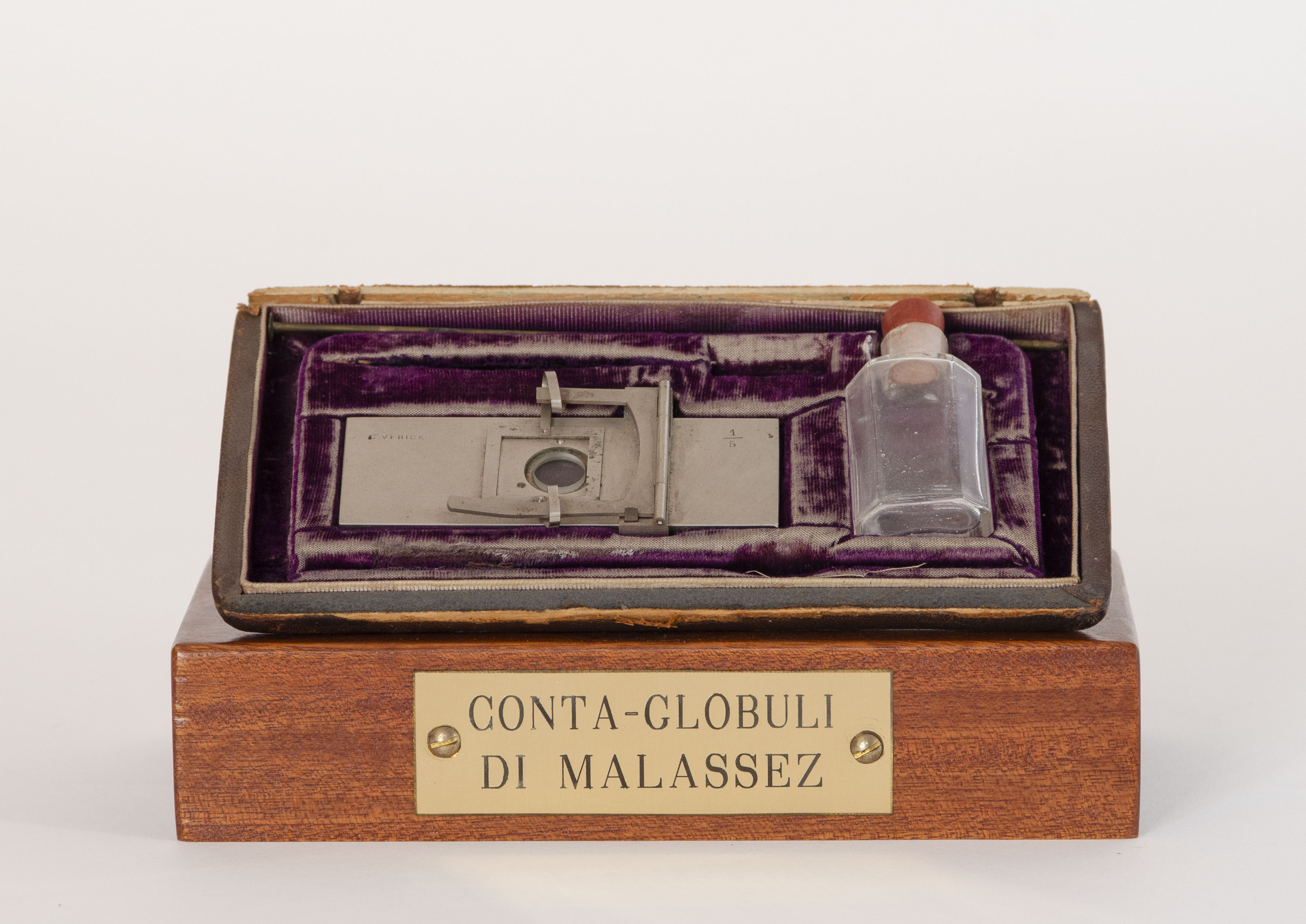 contaglobuli di Malassez di Marie Constant Verick - manifattura tedesca (seconda metà XIX)