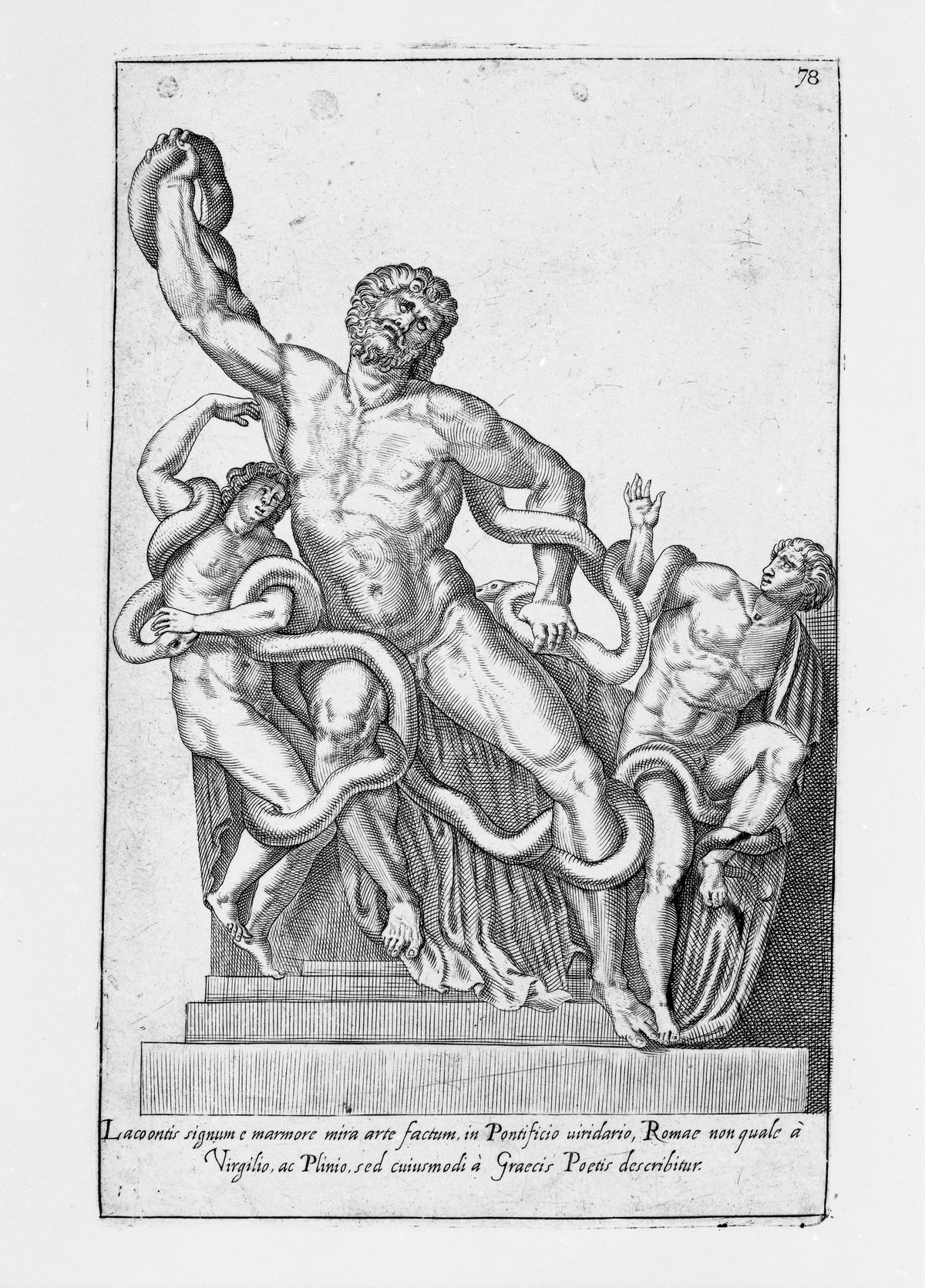 Laocoonte, Laocoonte (stampa, serie) di Cavalieri Giovanni Battista de' (XVII)